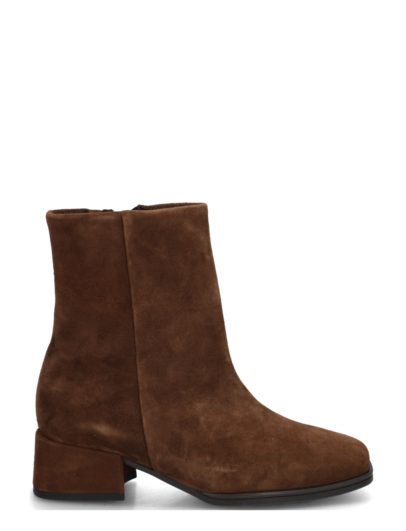 Gabor - Ankle boot - stövletter - brown - 2