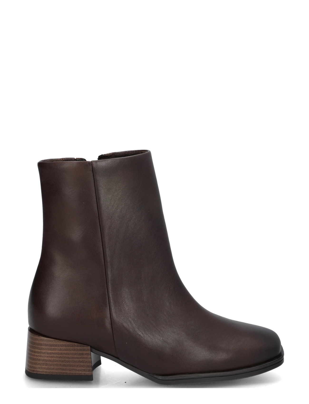 Gabor - Ankle boot - stövletter - cognac - 2
