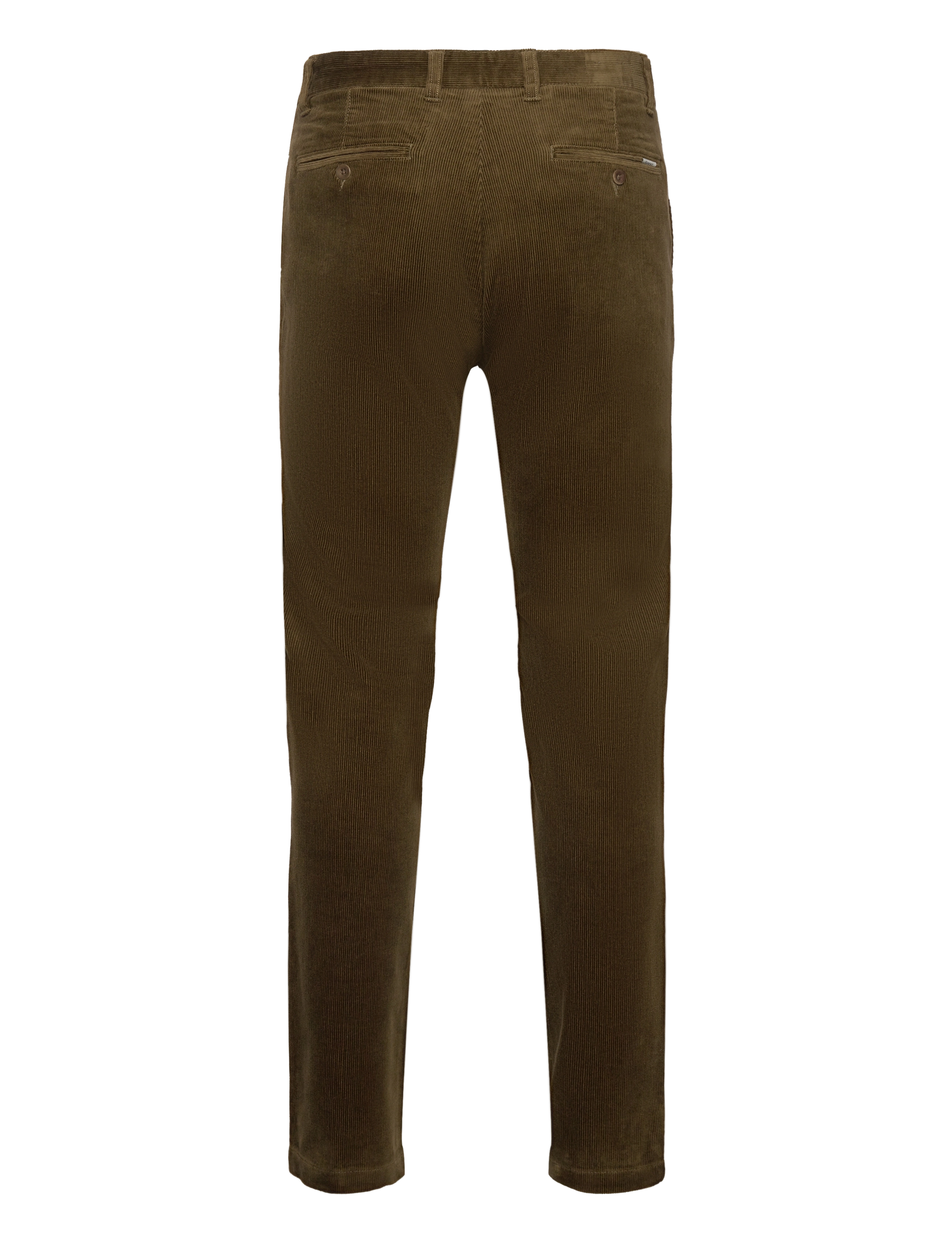 Gant - REGULAR CORD CHINOS - chinos - dark cactus - 1
