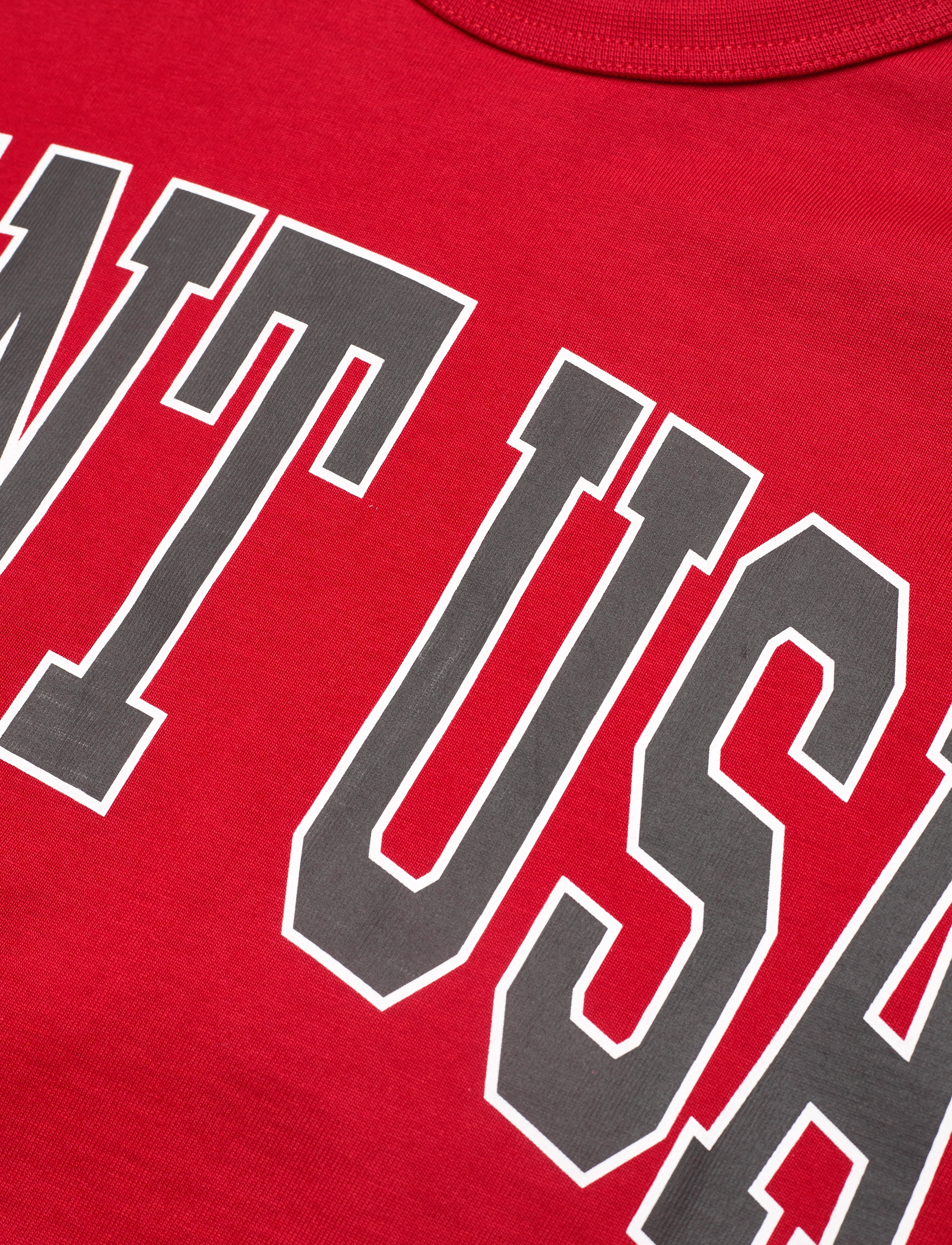 GANT - D1. GANT USA SS TSHIRT - ruby red - 2