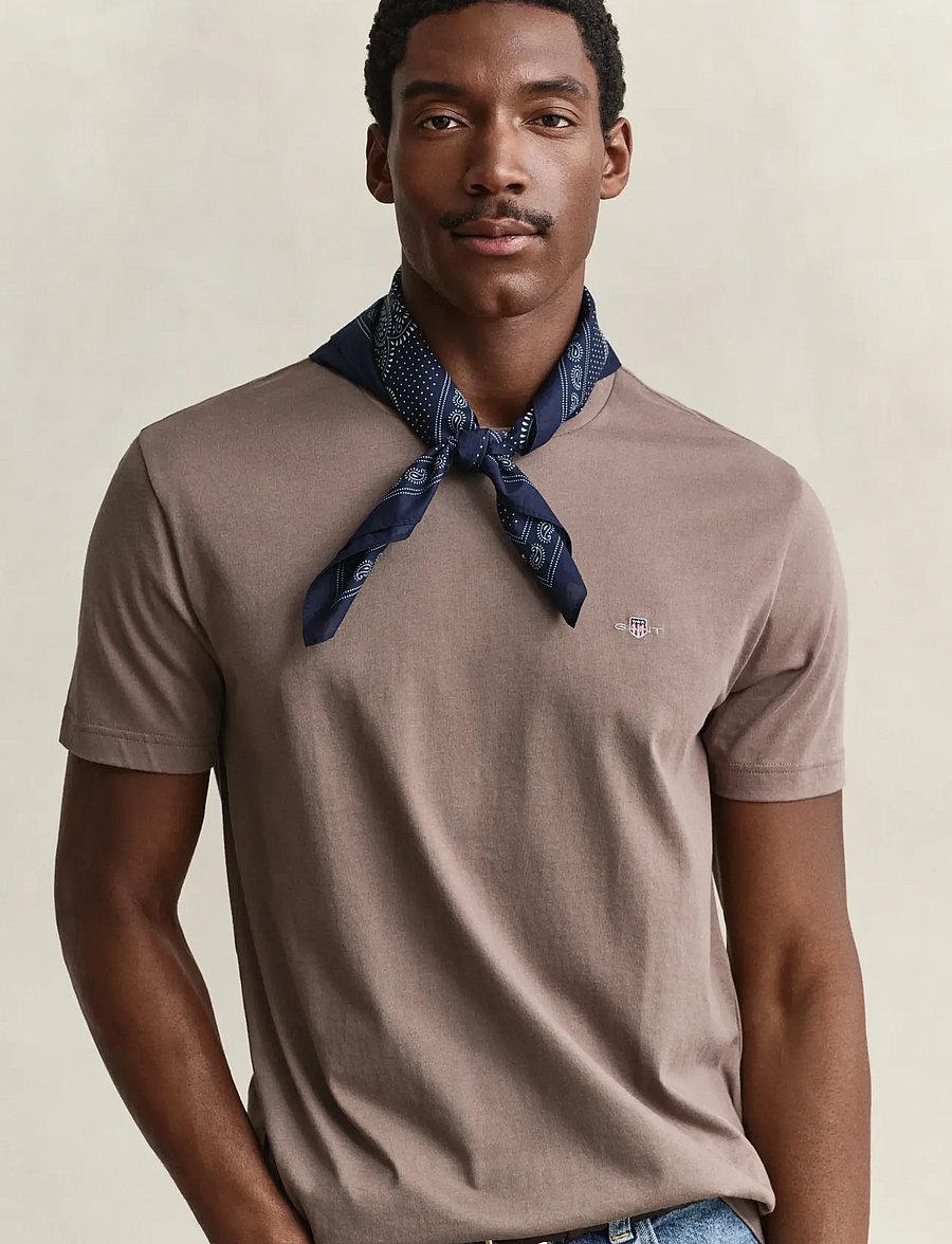 Gant - Shield T-Shirt - kurzärmelige t-shirts - faded taupe - 3