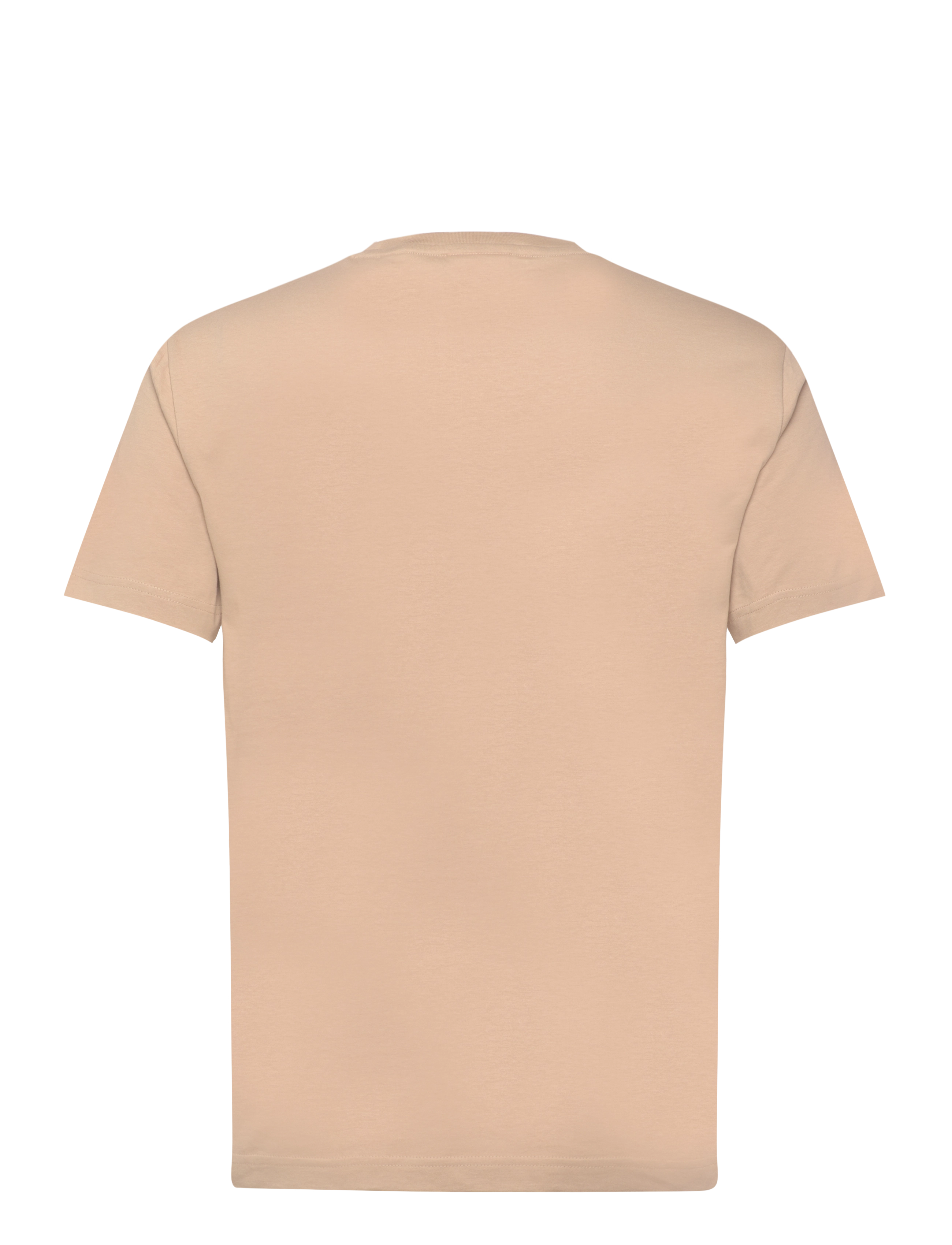 Gant - REG ARCHIVE SHIELD SS T-SHIRT - kortærmede t-shirts - dry sand - 2