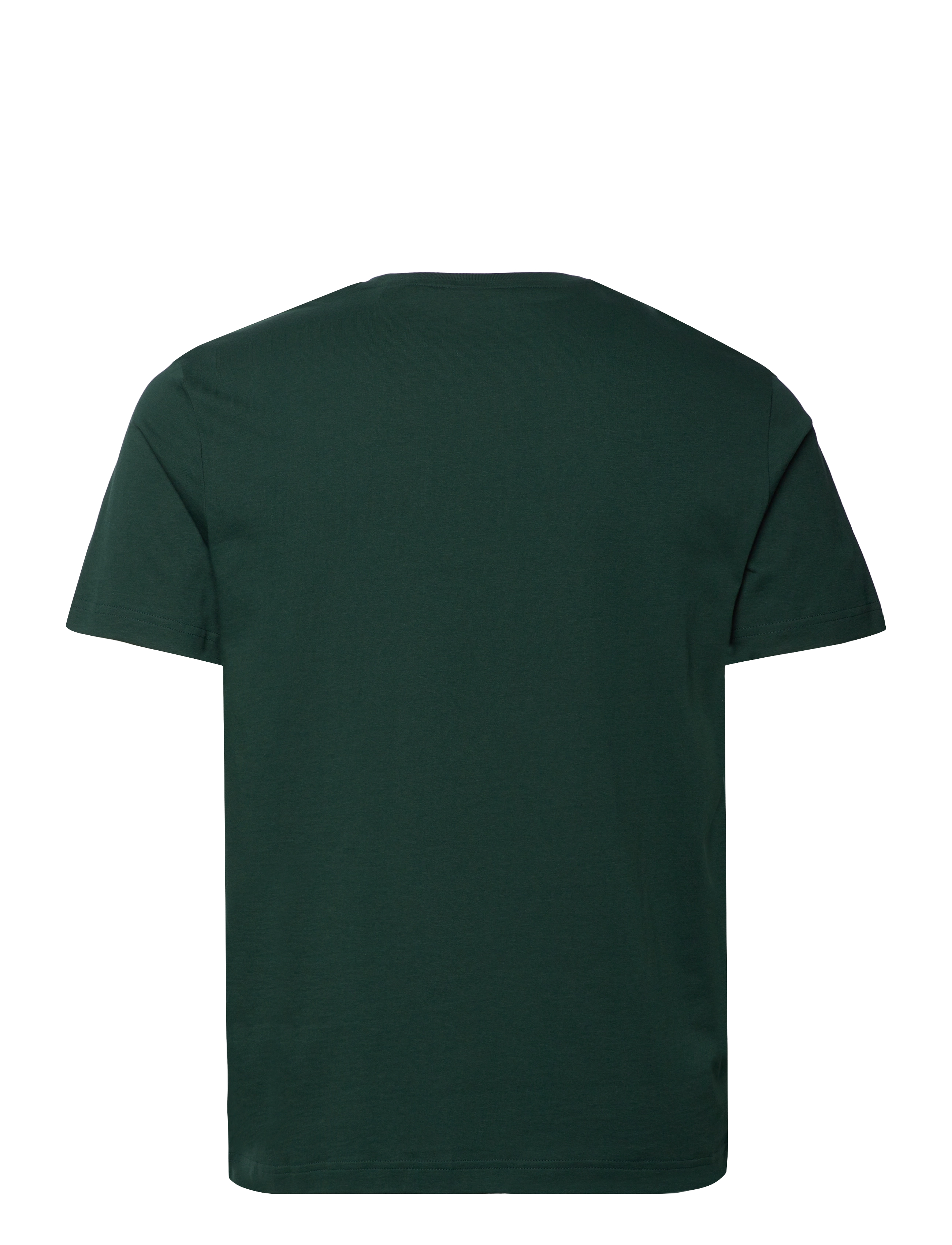 Gant - REG ARCHIVE SHIELD SS T-SHIRT - marškinėliai trumpomis rankovėmis - tartan green - 1