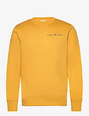GANT - PRINTED GRAPHIC C-NECK SWEAT - sweatshirts - gold yellow - 0