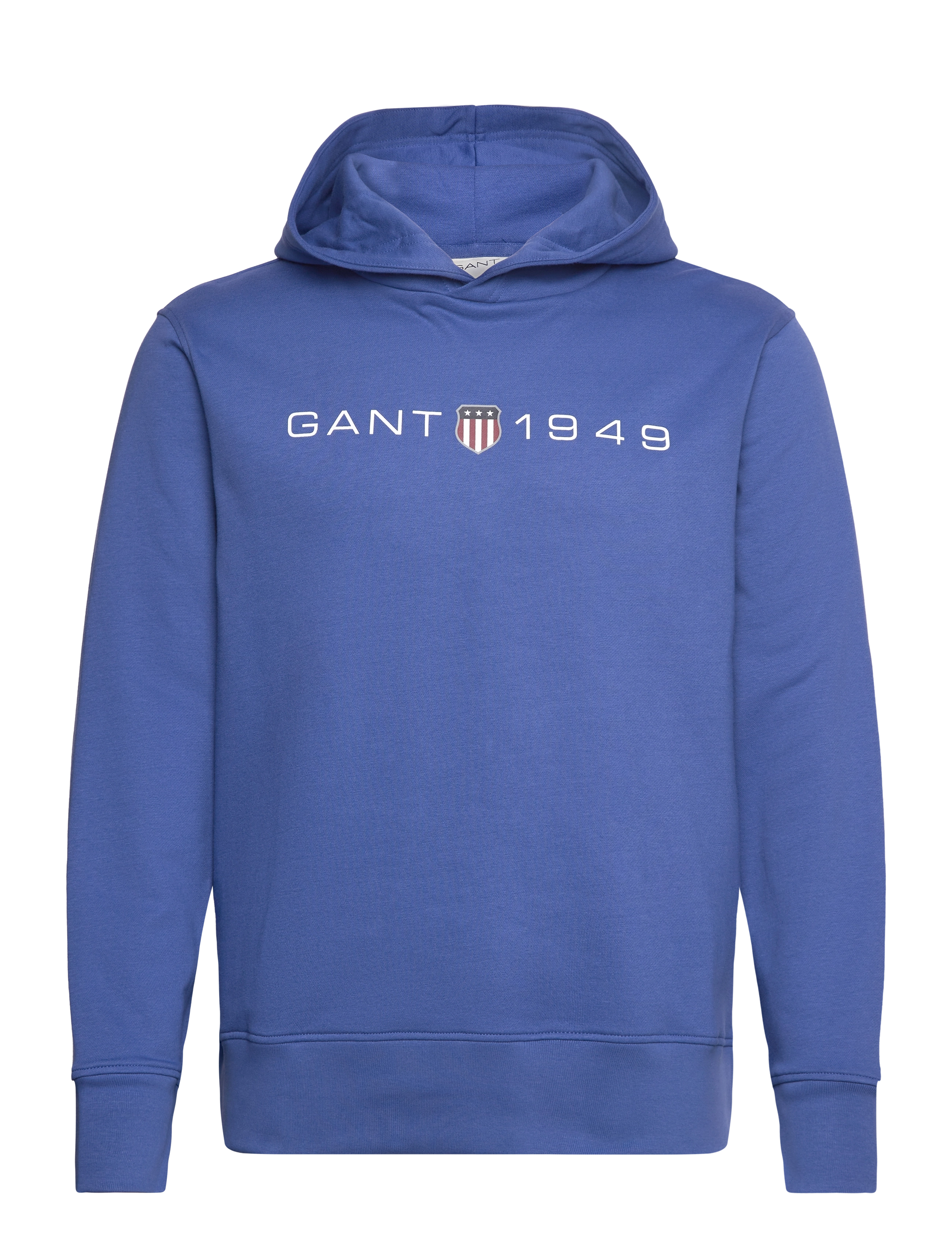 GANT - PRINTED GRAPHIC HOODIE - rich blue - 1