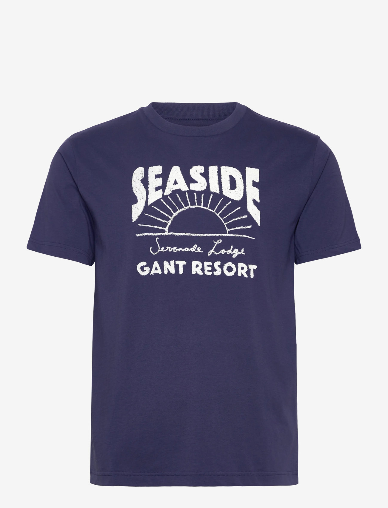 GANT - GRAPHIC T-SHIRT - persian blue - 0