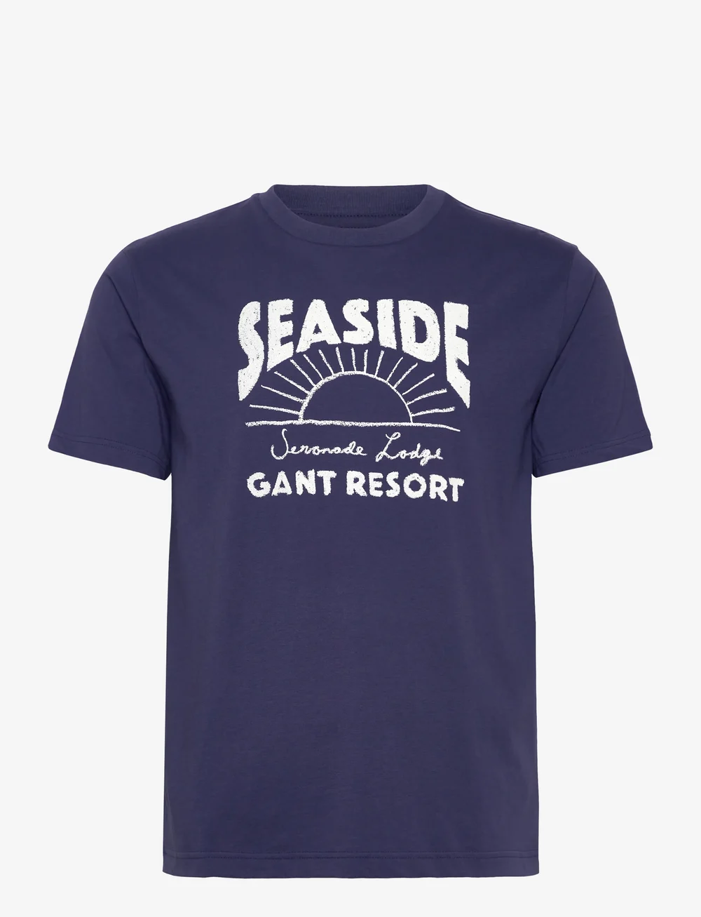 GANT - GRAPHIC T-SHIRT - korte mouwen - persian blue - 0