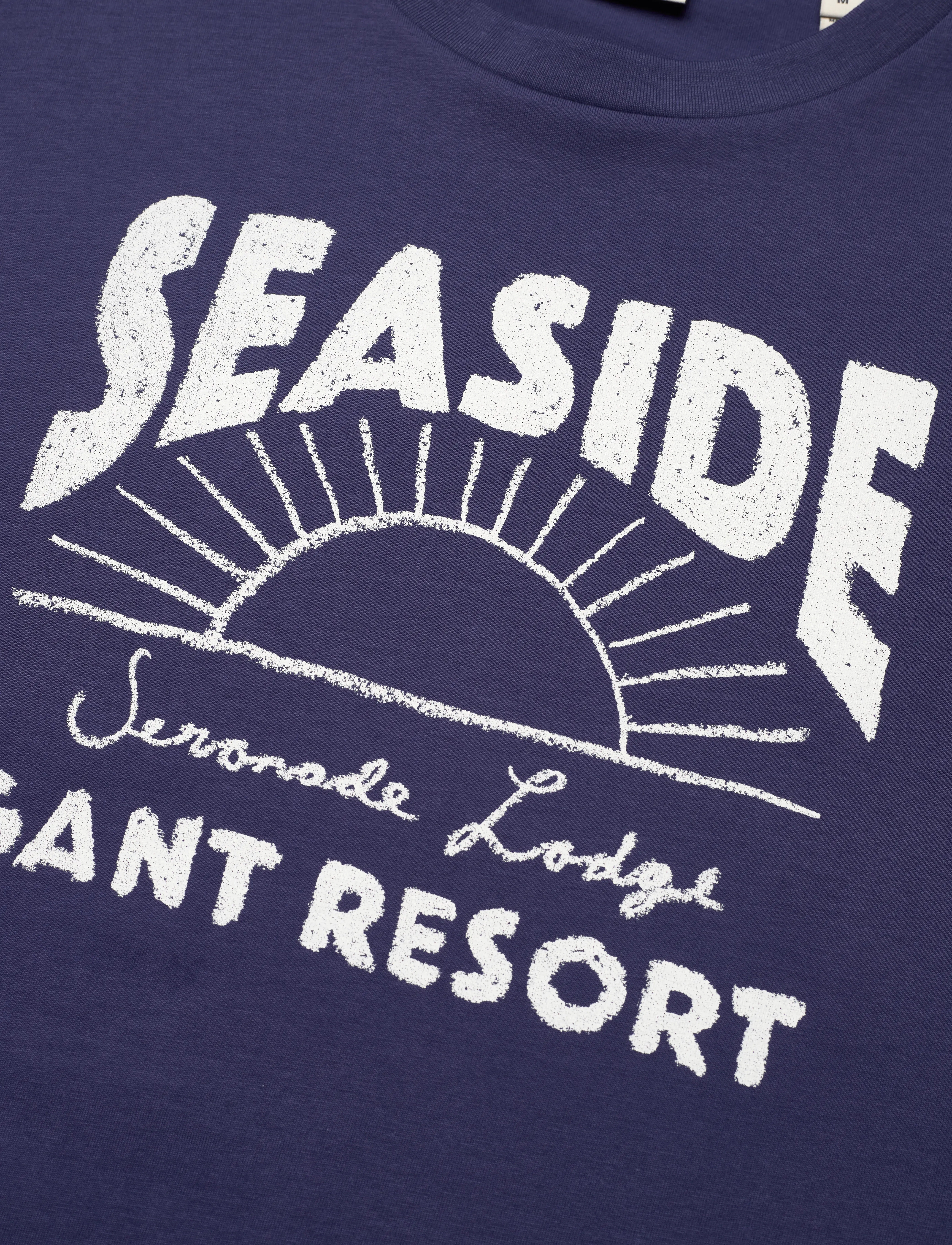 Gant - GRAPHIC T-SHIRT - persian blue - 2