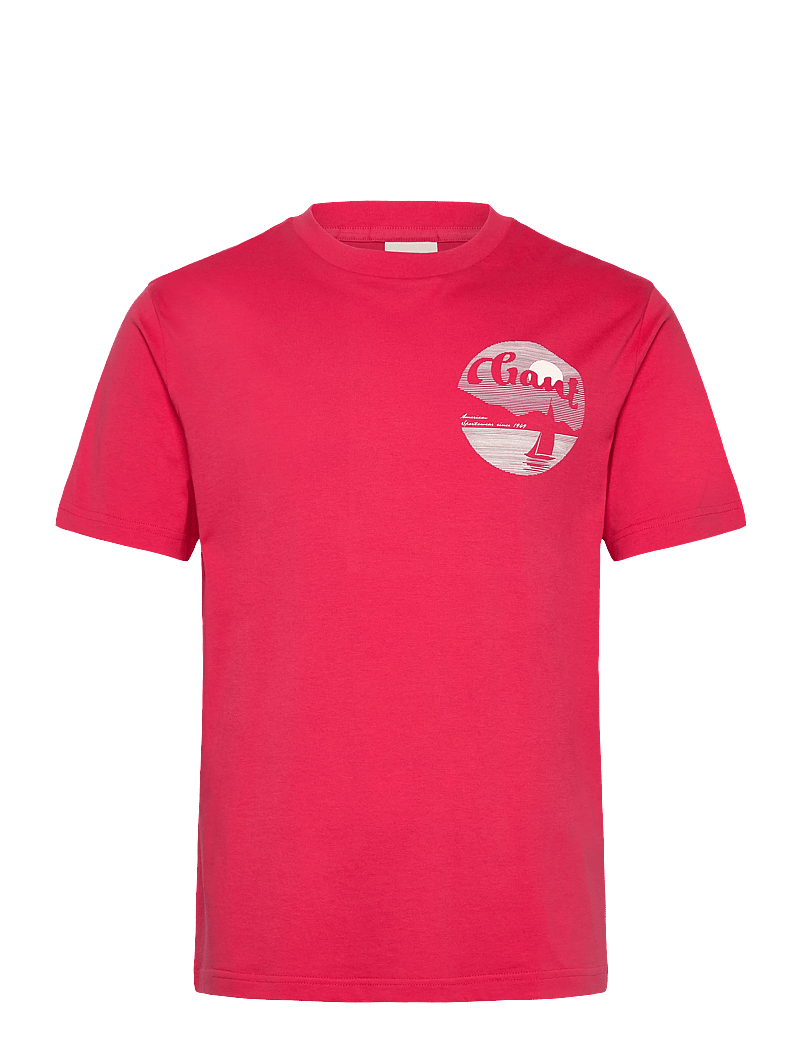 GANT - GRAPHIC T-SHIRT - kortærmede t-shirts - watermelon red - 0