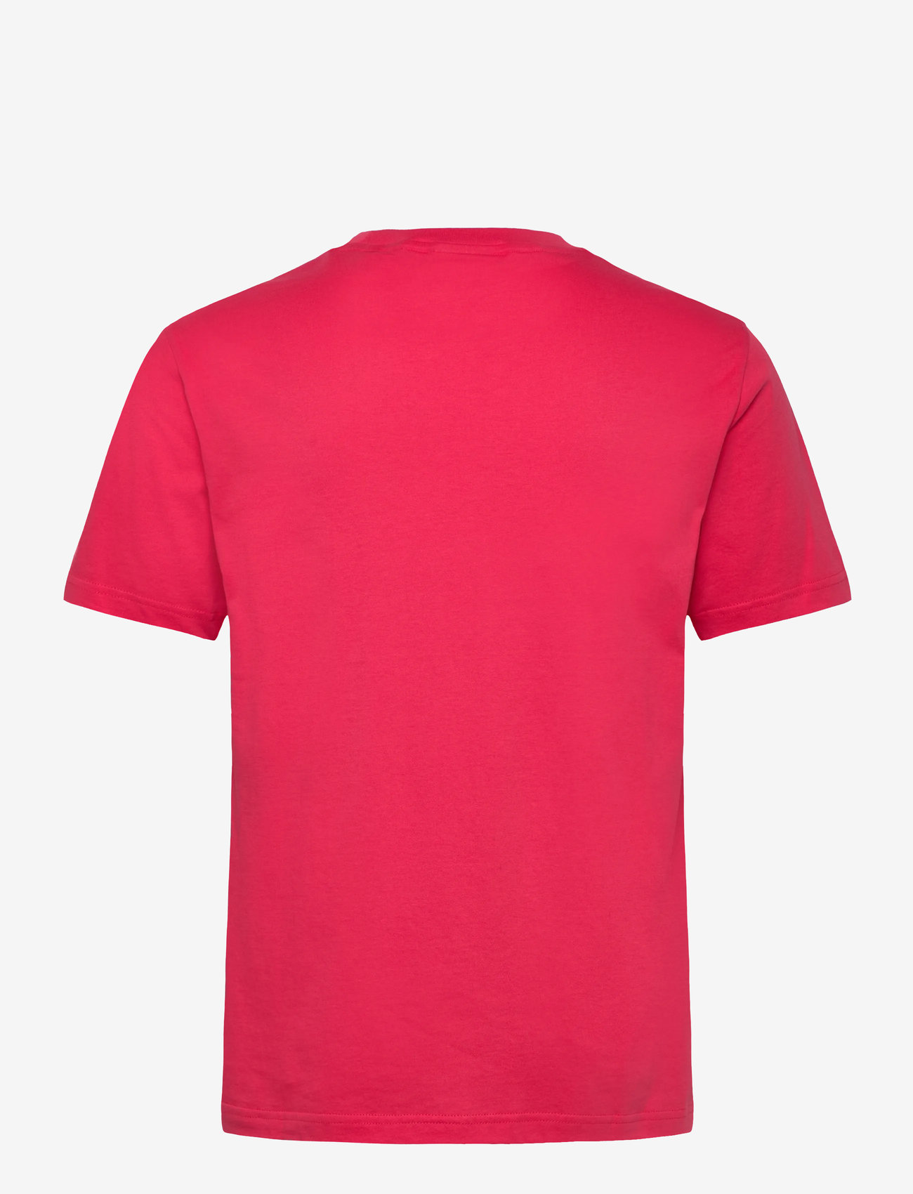 GANT - GRAPHIC T-SHIRT - kortärmade t-shirts - watermelon red - 1