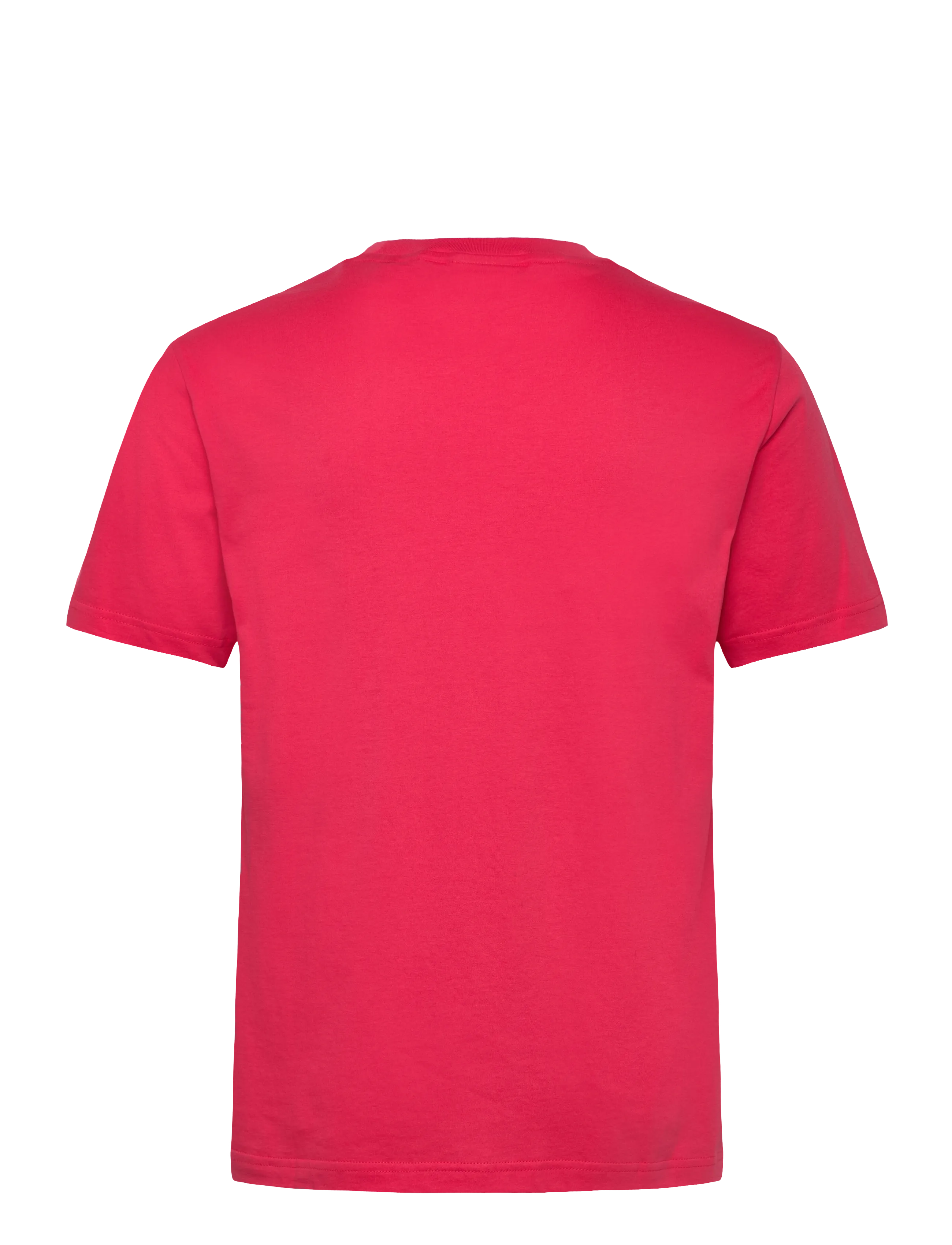 Gant - GRAPHIC T-SHIRT - marškinėliai trumpomis rankovėmis - watermelon red - 1
