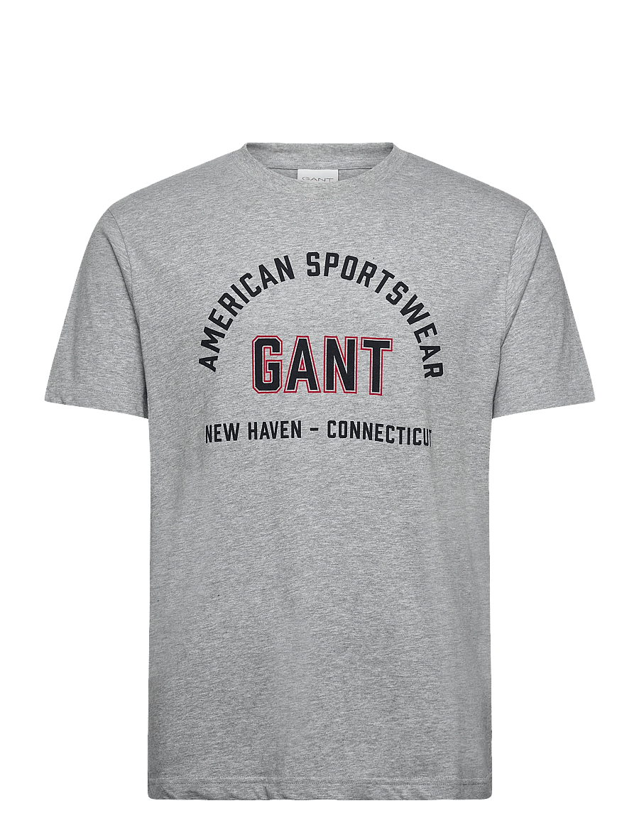 Gant - PRINTED GRAPHIC SS T-SHIRT - lühikeste varrukatega t-särgid - grey melange - 0