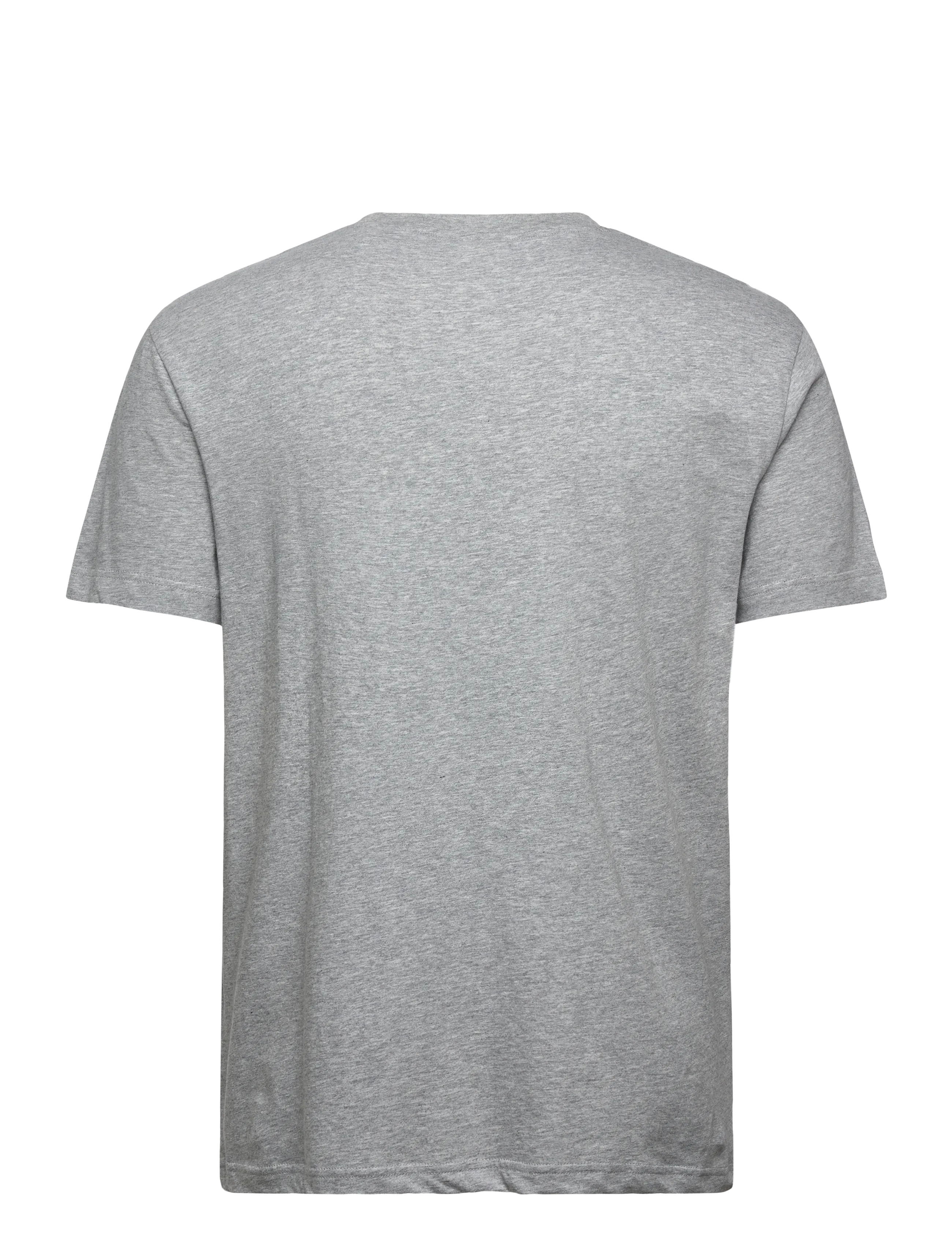 Gant - PRINTED GRAPHIC SS T-SHIRT - lühikeste varrukatega t-särgid - grey melange - 1