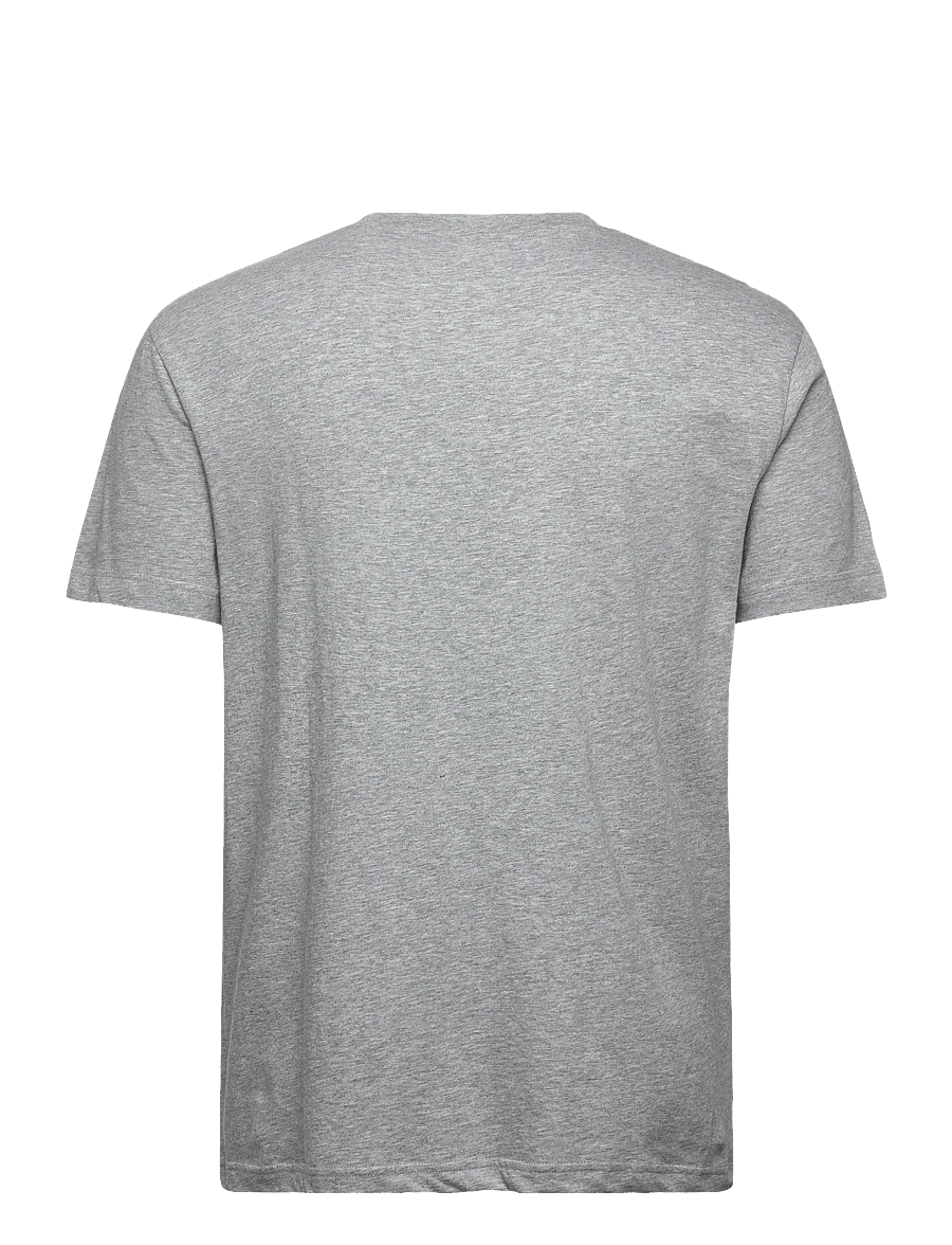 Gant - PRINTED GRAPHIC SS T-SHIRT - lühikeste varrukatega t-särgid - grey melange - 1