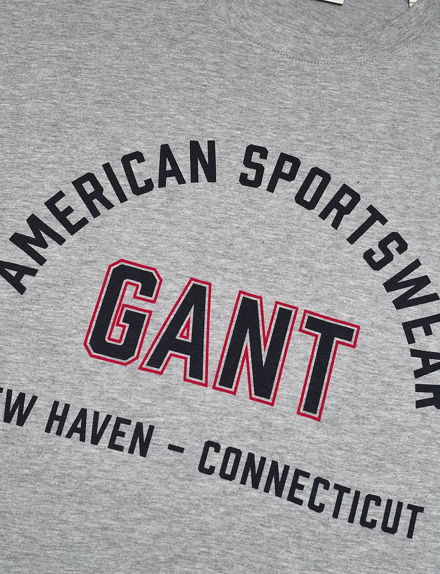 Gant - PRINTED GRAPHIC SS T-SHIRT - lühikeste varrukatega t-särgid - grey melange - 2