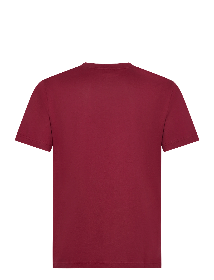 Gant - PRINTED GRAPHIC SS T-SHIRT - kortærmede t-shirts - plumped red - 1