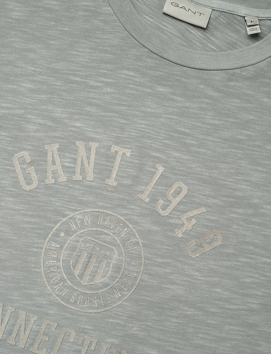 Gant - TONAL PRINT SS TSHIRT - kurzärmelig - ceramic grey - 2