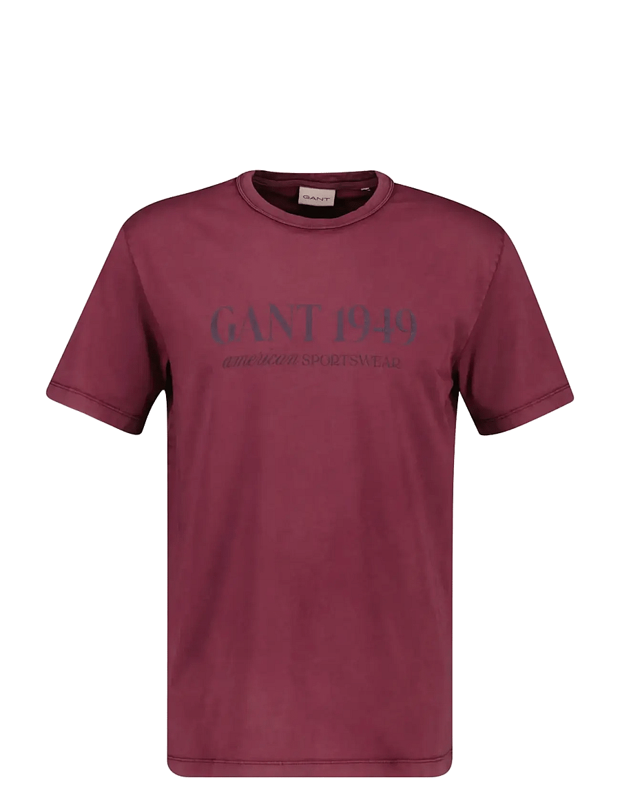 Gant - GRAPHIC SS T-SHIRT - kurzärmelige t-shirts - deep grape wine - 1