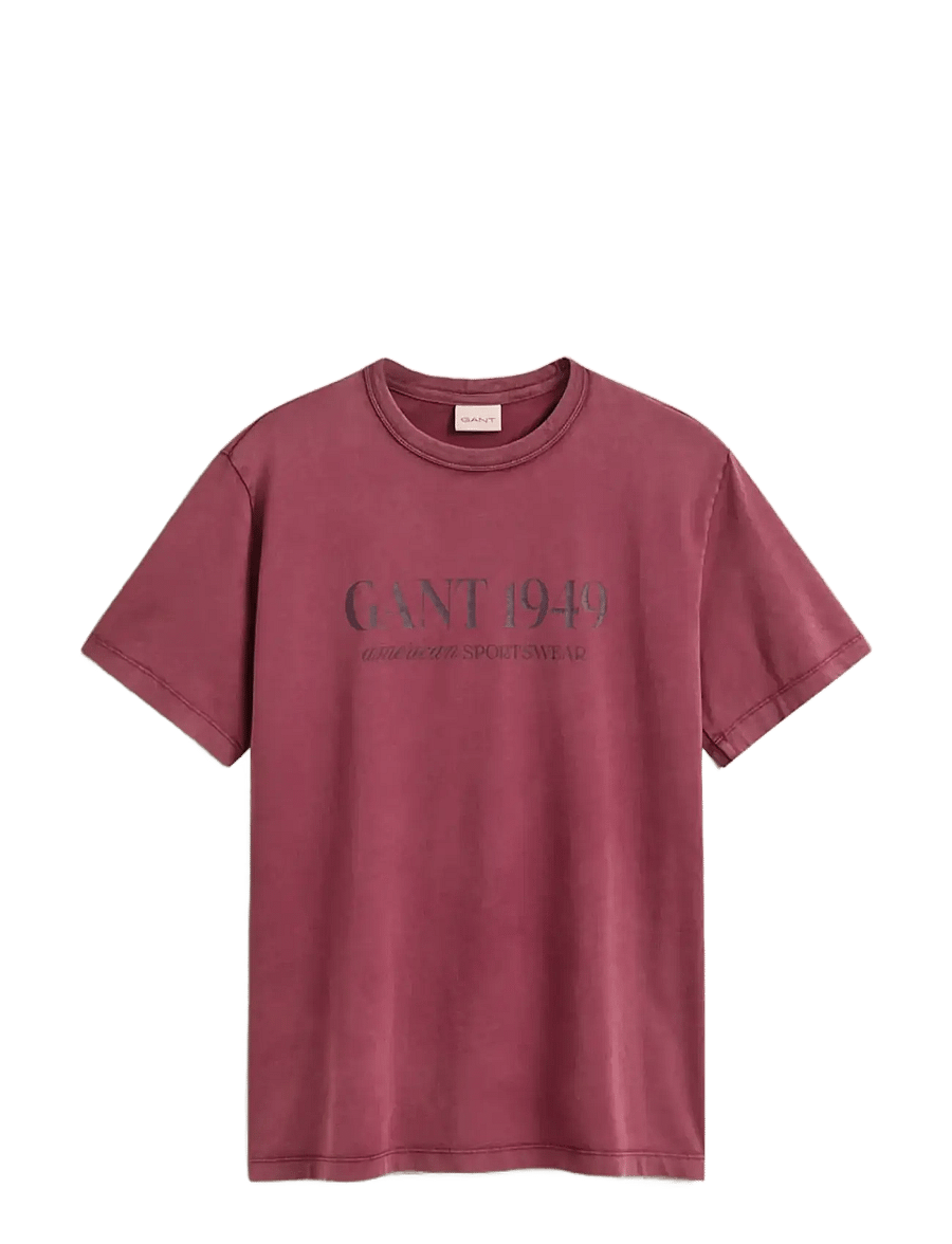 Gant - GRAPHIC SS T-SHIRT - kurzärmelige t-shirts - deep grape wine - 2