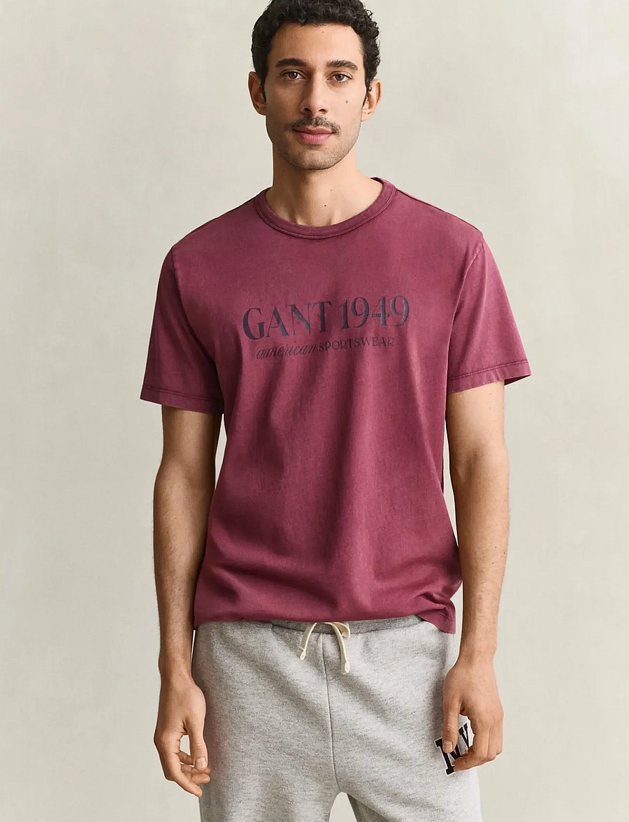 Gant - GRAPHIC SS T-SHIRT - kurzärmelige t-shirts - deep grape wine - 0