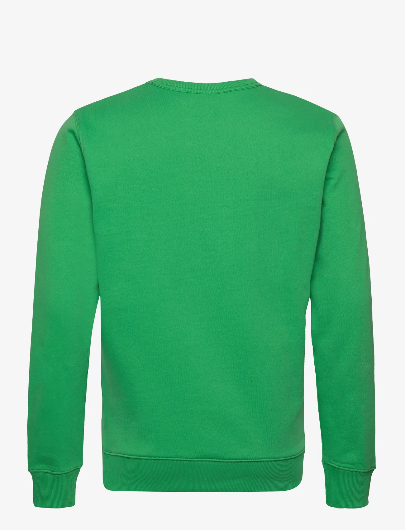 GANT - SAIL C-NECK - sweatshirts - mid green - 1