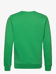 GANT - SAIL C-NECK - sweatshirts - mid green - 1
