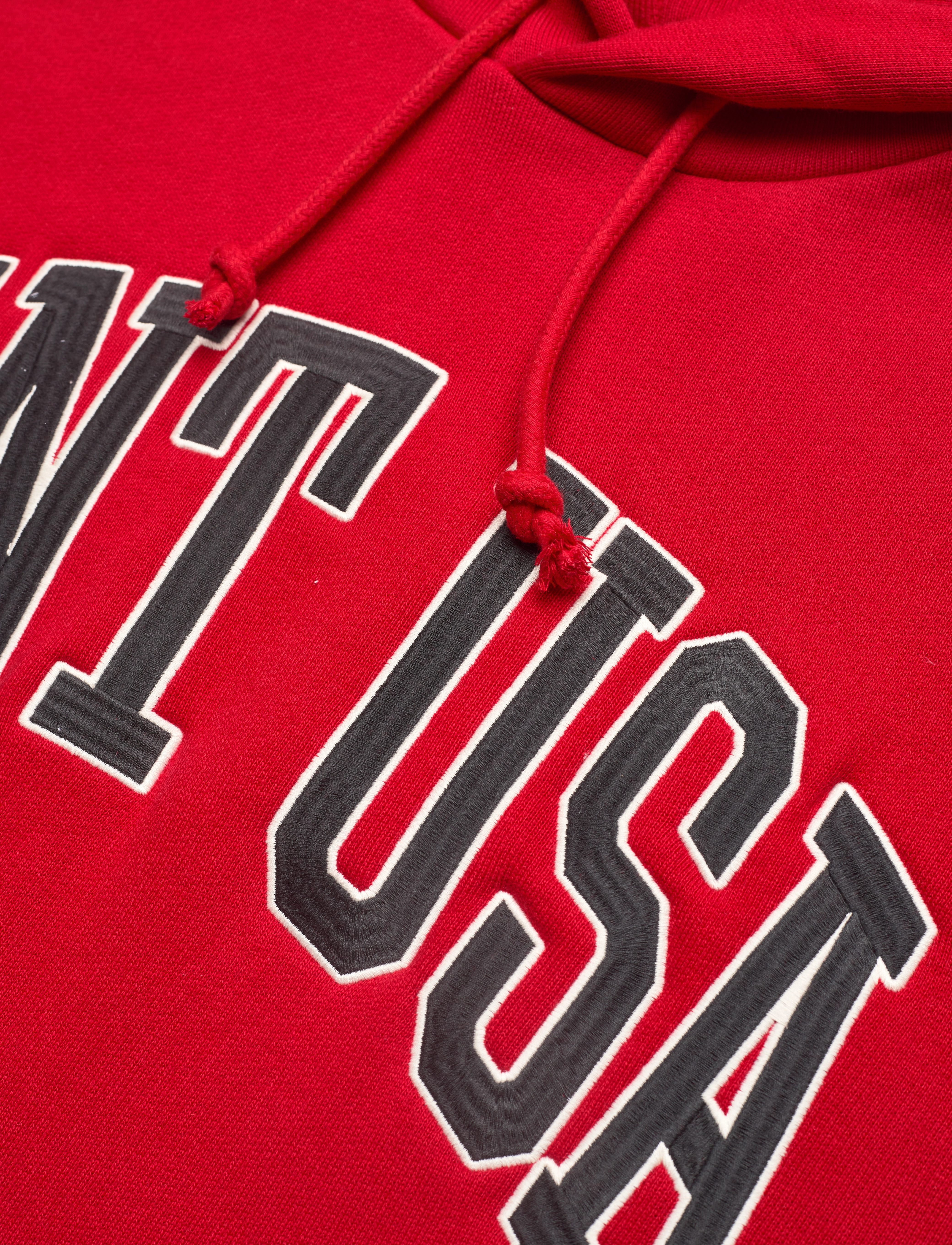 GANT - D1. GANT USA SWEAT HOODIE - ruby red - 2