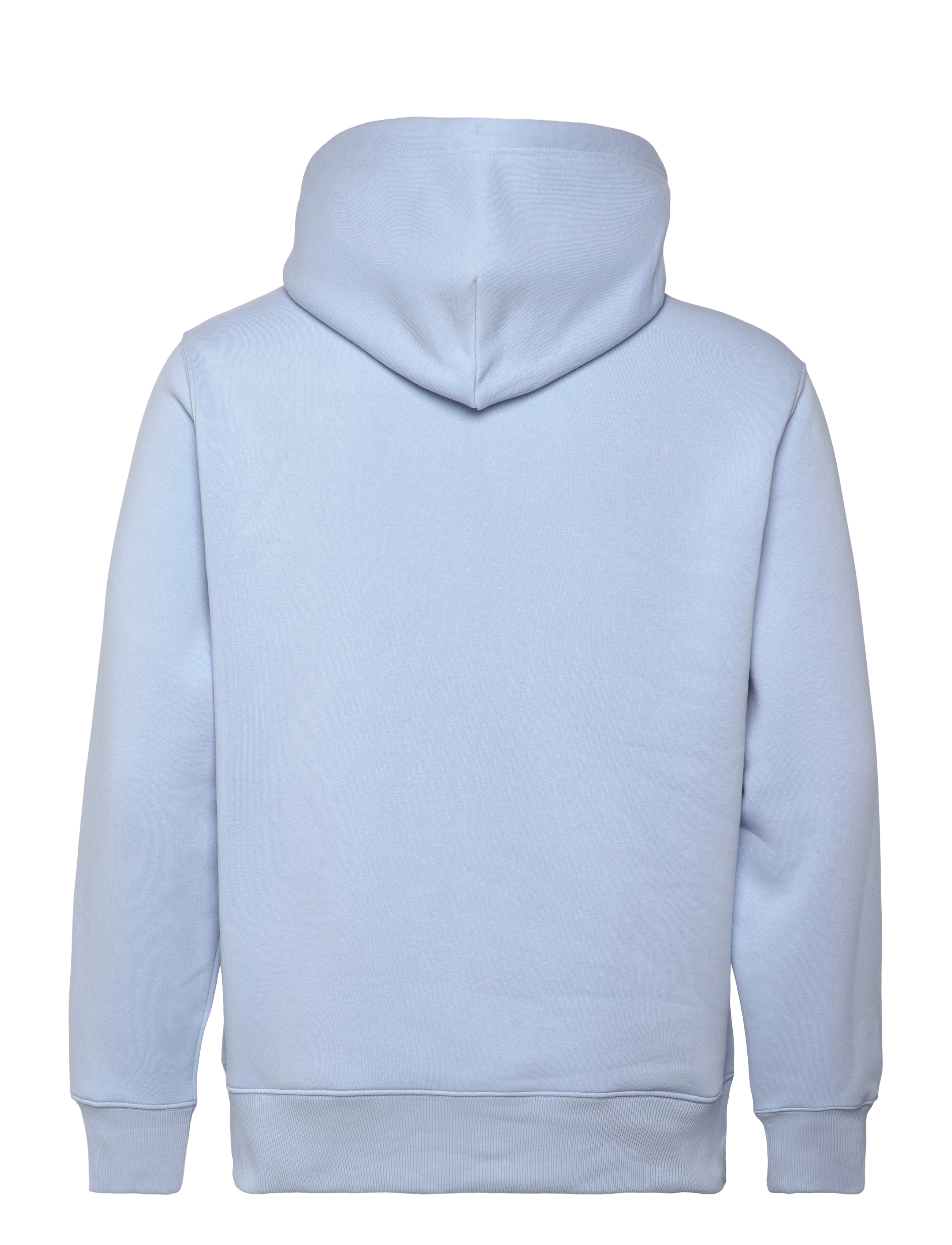 Gant - REG SHIELD HOODIE - kapuutsiga dressipluusid - fresh blue - 1