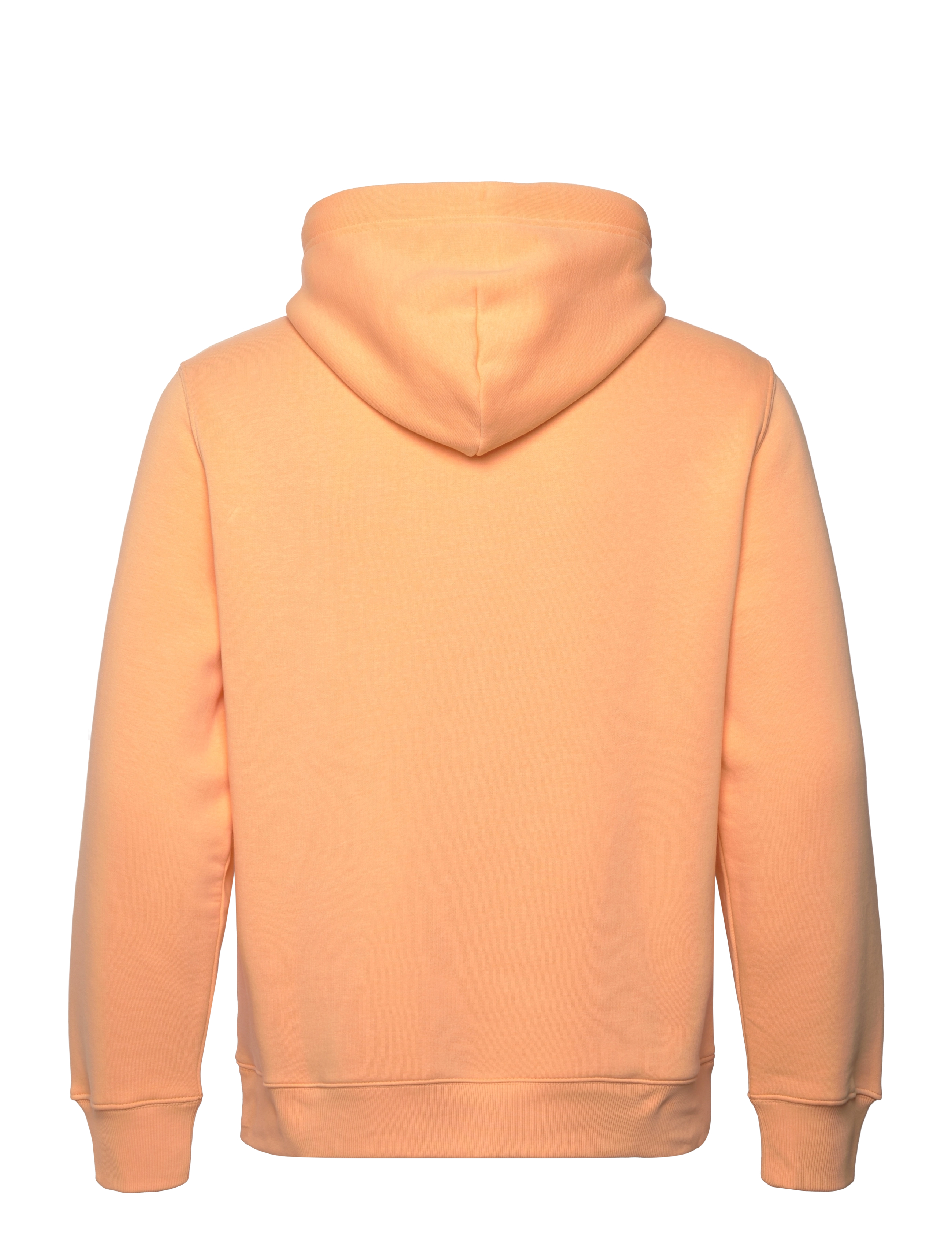 Gant - REG SHIELD HOODIE - kapuutsiga dressipluusid - peachy orange - 2
