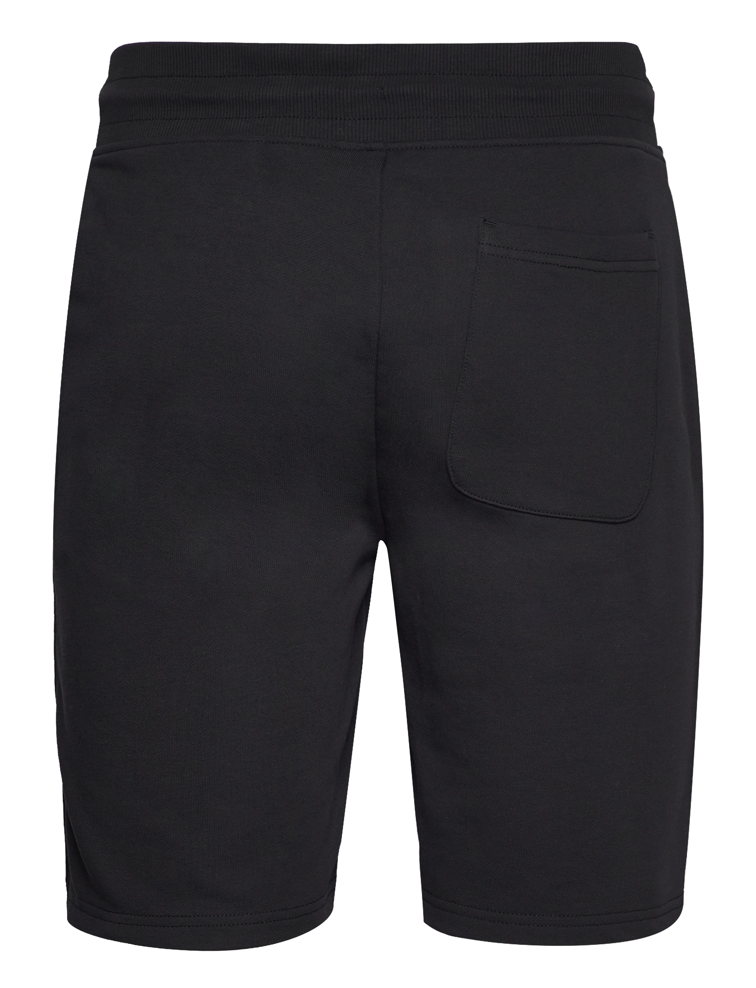 Gant - REG SHIELD SWEAT SHORTS - sweatshorts - black - 2