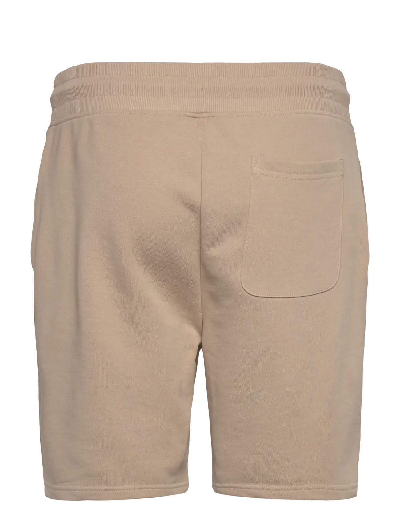 Gant - REG SHIELD SWEAT SHORTS - collegeshortsit - dry sand - 2