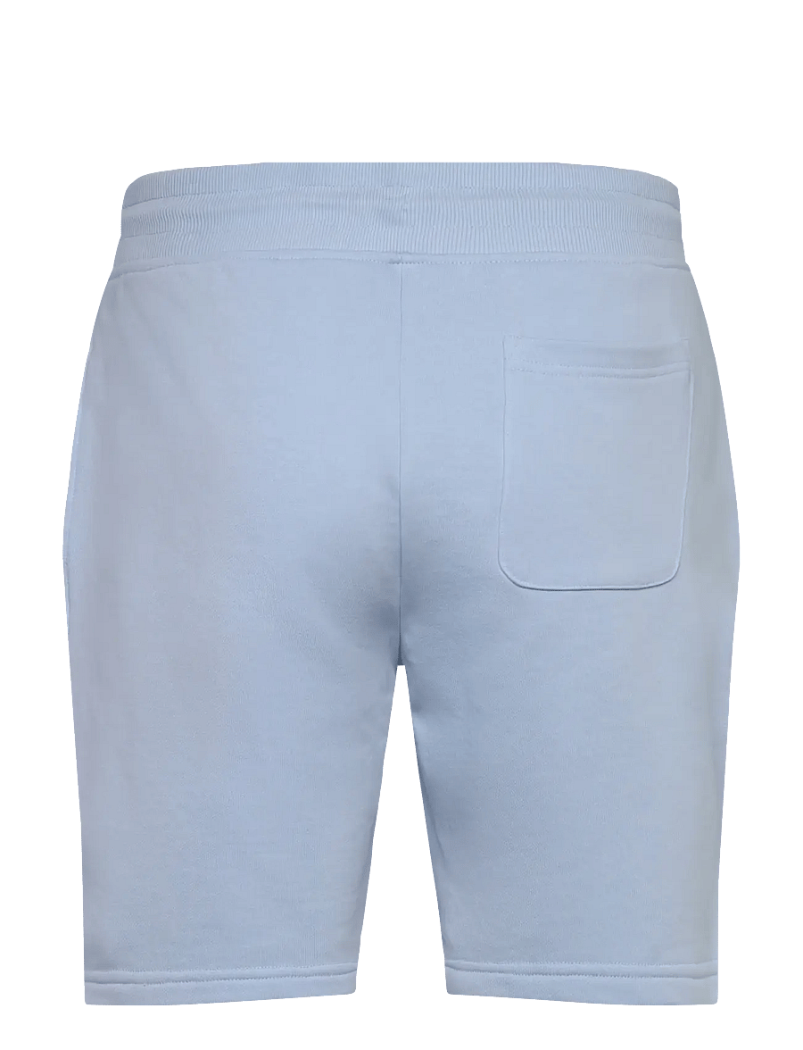 Gant - REG SHIELD SWEAT SHORTS - sweatshorts - fresh blue - 2