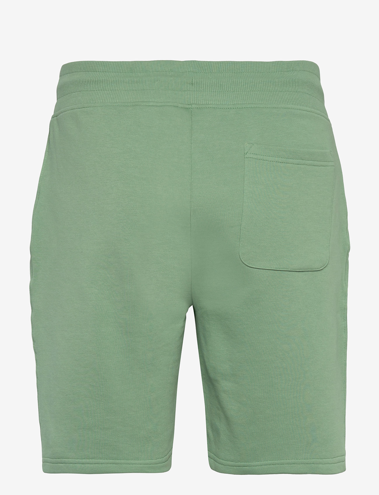 Gant - REG SHIELD SWEAT SHORTS - sweatshorts - kalamata green - 2