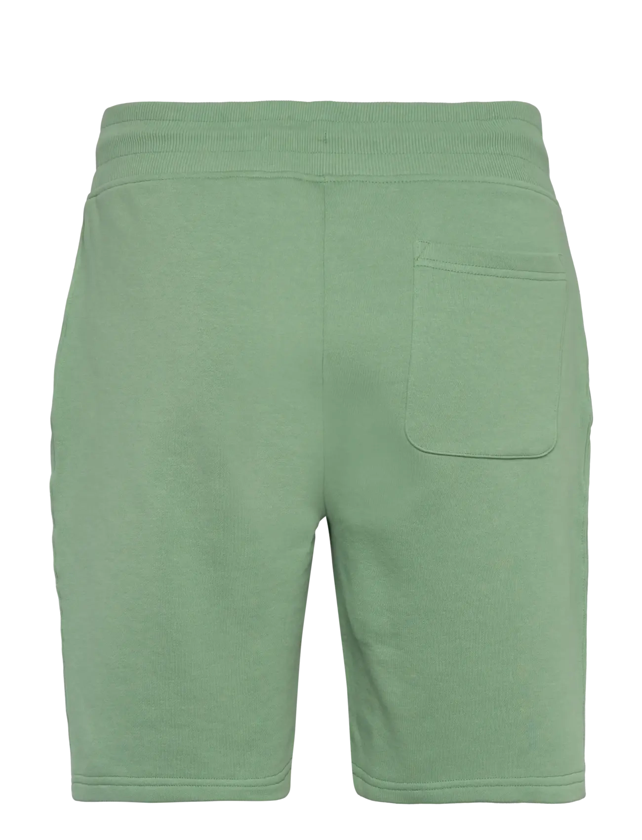 Gant - REG SHIELD SWEAT SHORTS - sweat shorts - kalamata green - 2