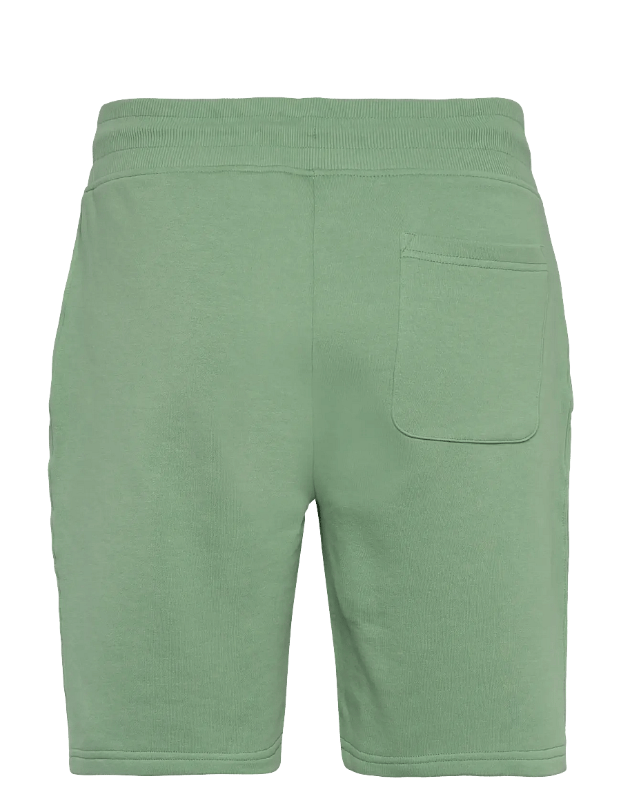 Gant - REG SHIELD SWEAT SHORTS - sweat shorts - kalamata green - 2