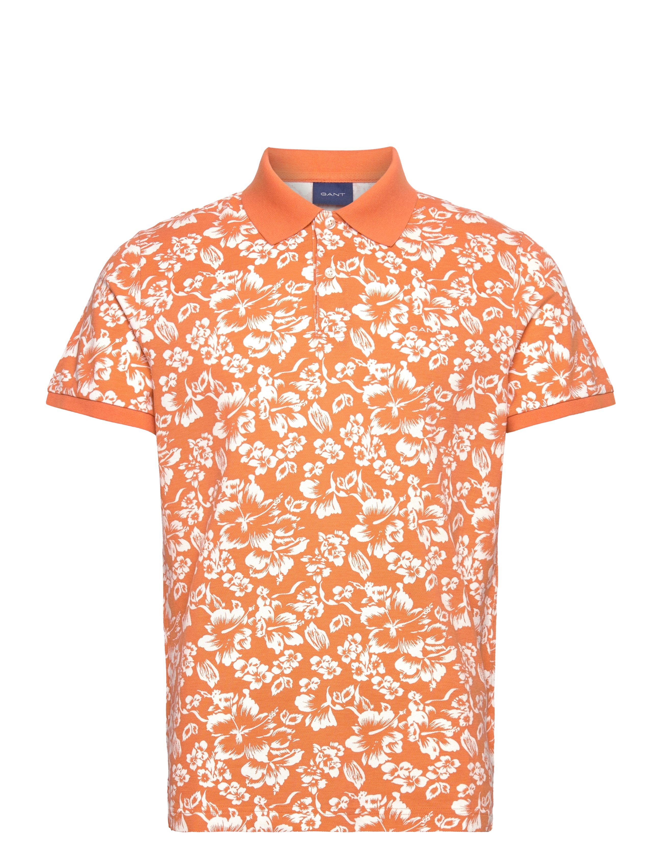 APRICOT ORANGE