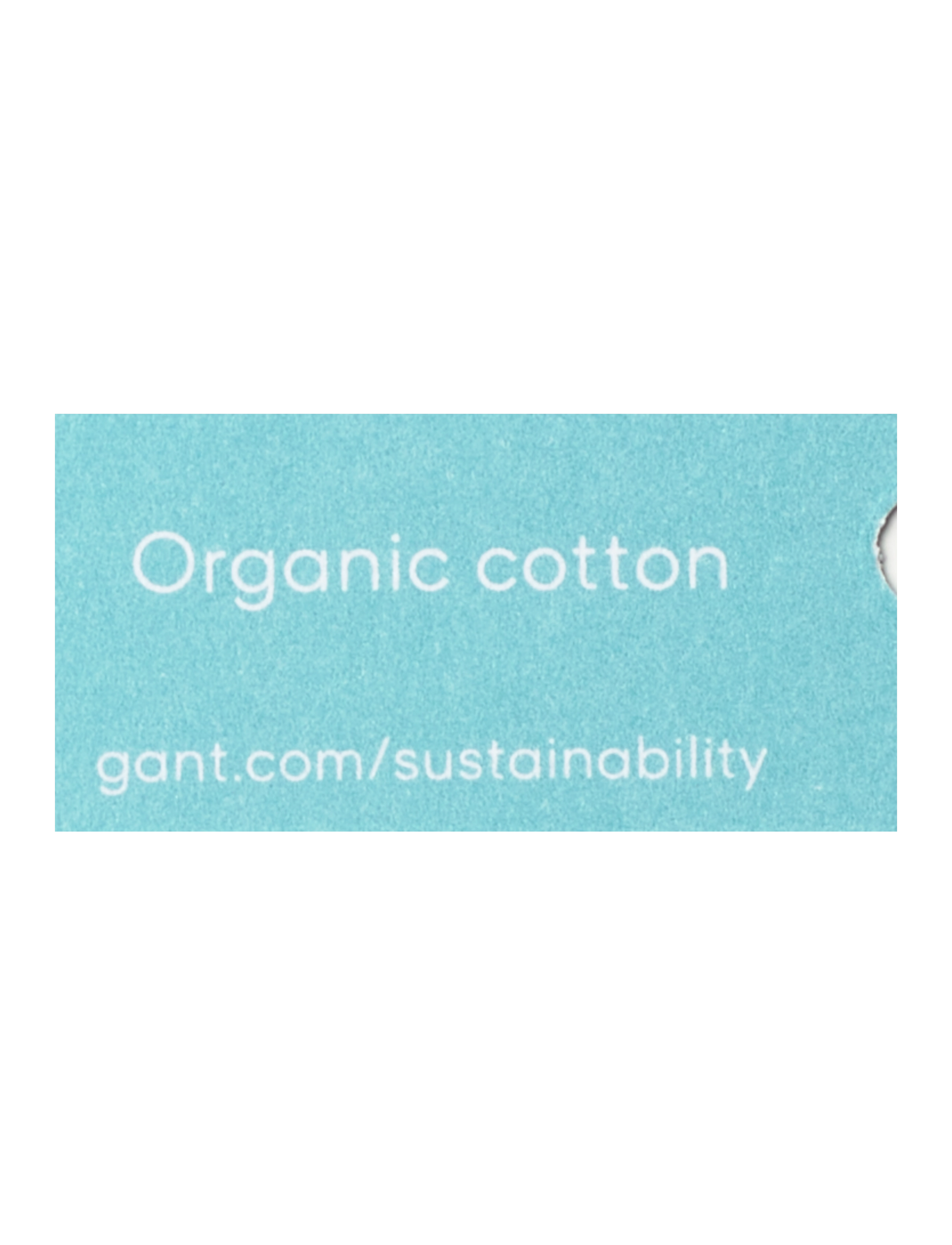 GANT - D1. ICON G ESSENTIAL SWEAT HOODIE - toffee beige - 2