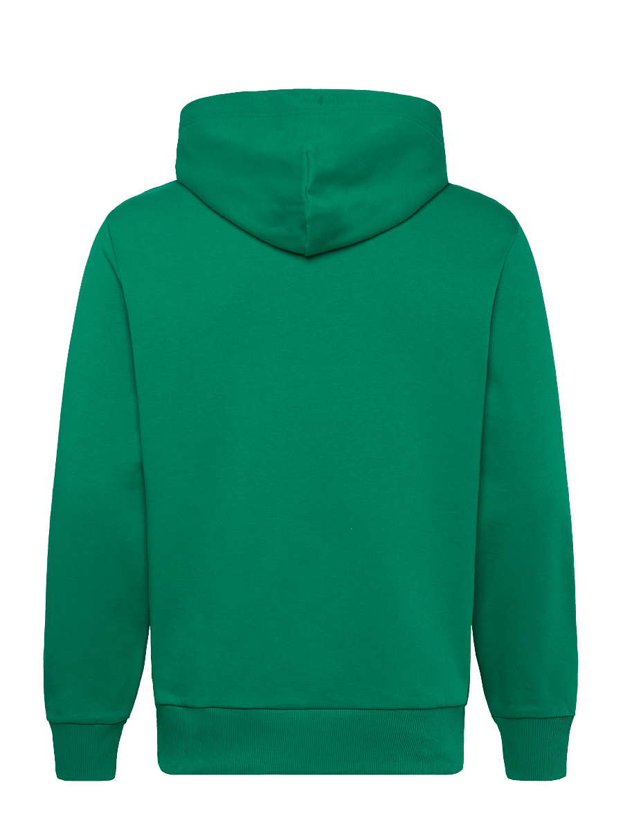Gant - REG TONAL SHIELD HOODIE - kapuutsiga dressipluusid - deep green - 1