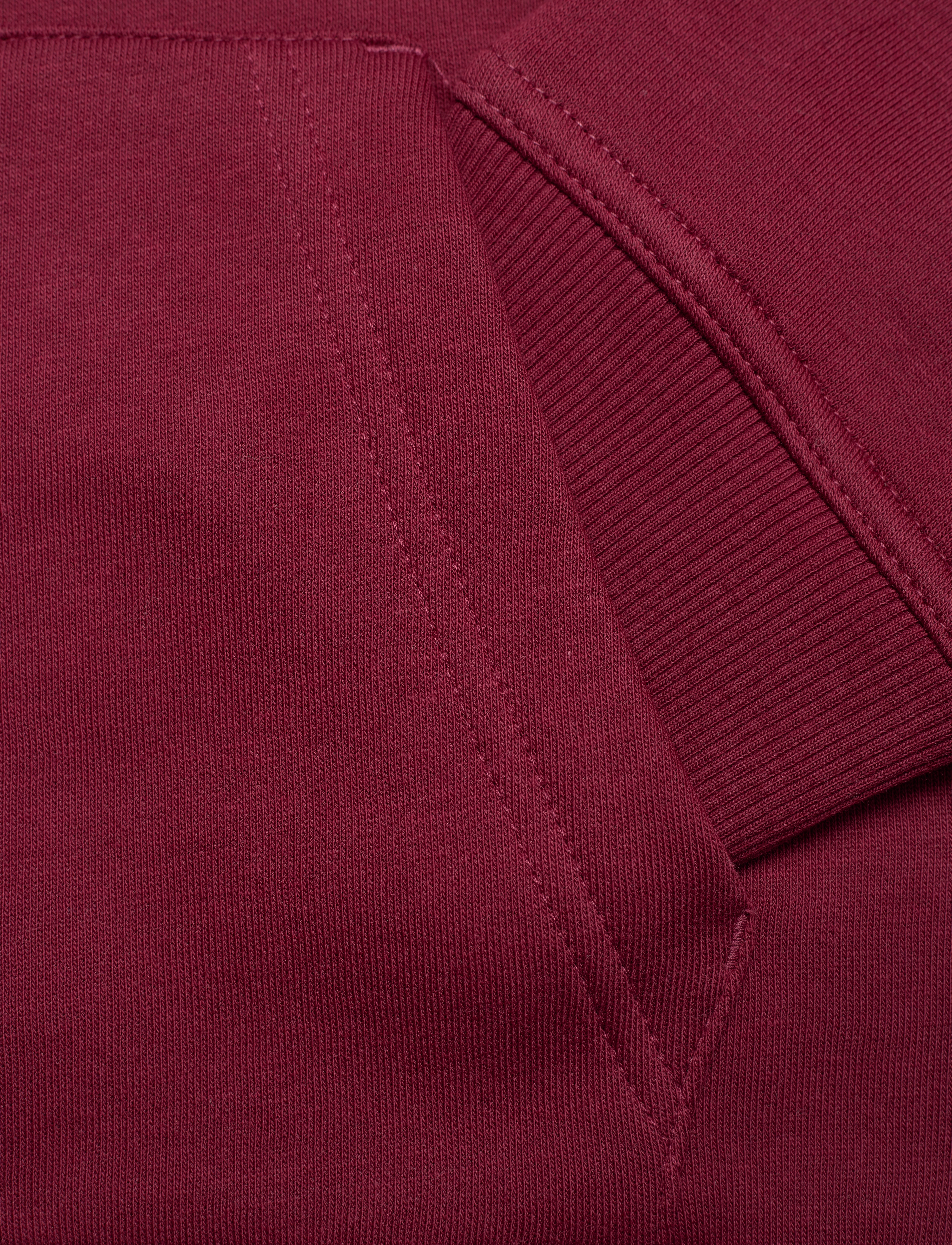 GANT - ARCHIVE SHIELD HOODIE - plumped red - 4