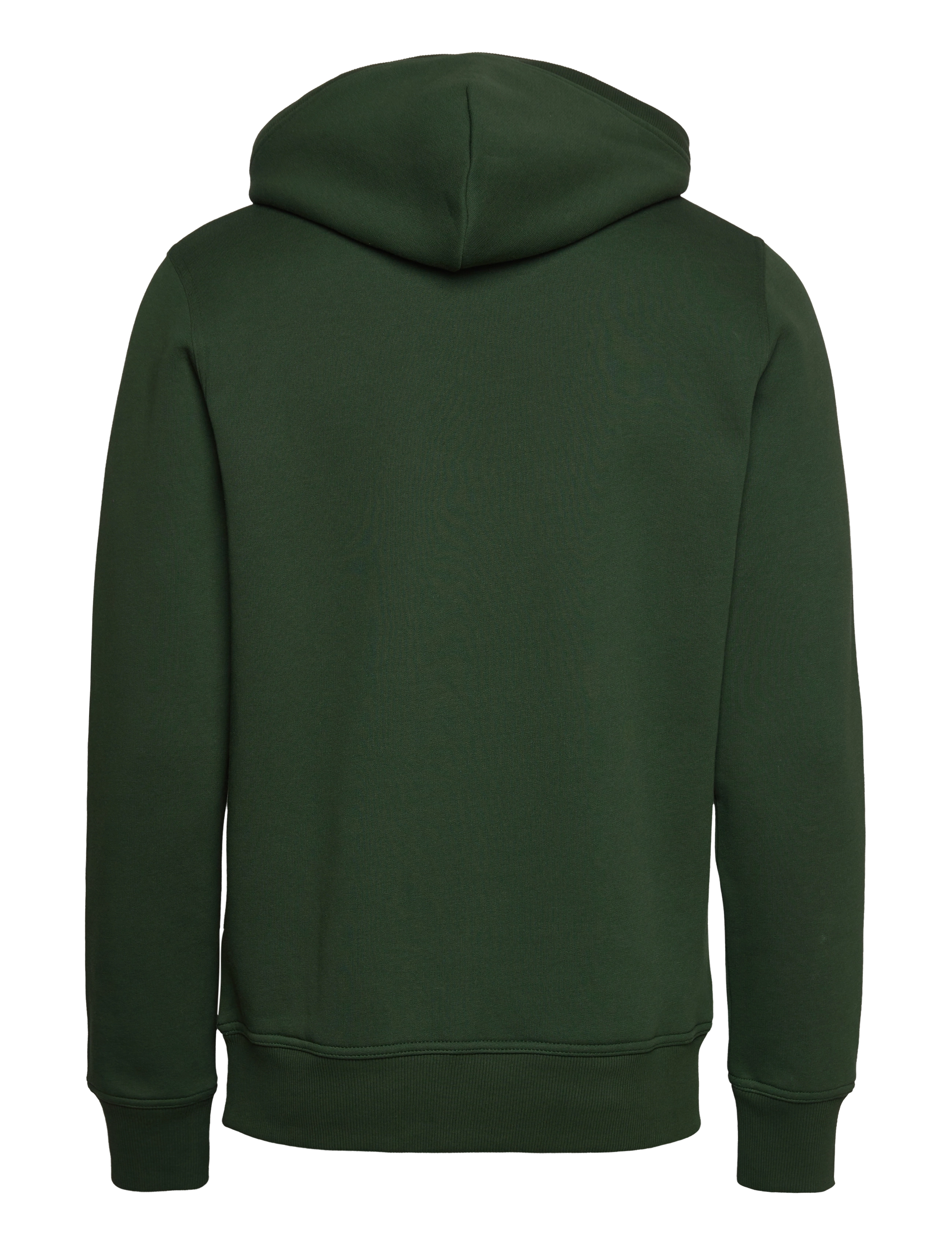 GANT - ARCHIVE SHIELD HOODIE - storm green - 1