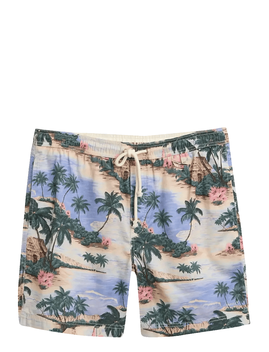 Gant - REG PRINTED DS SHORTS - casual shorts - perfect blue - 1