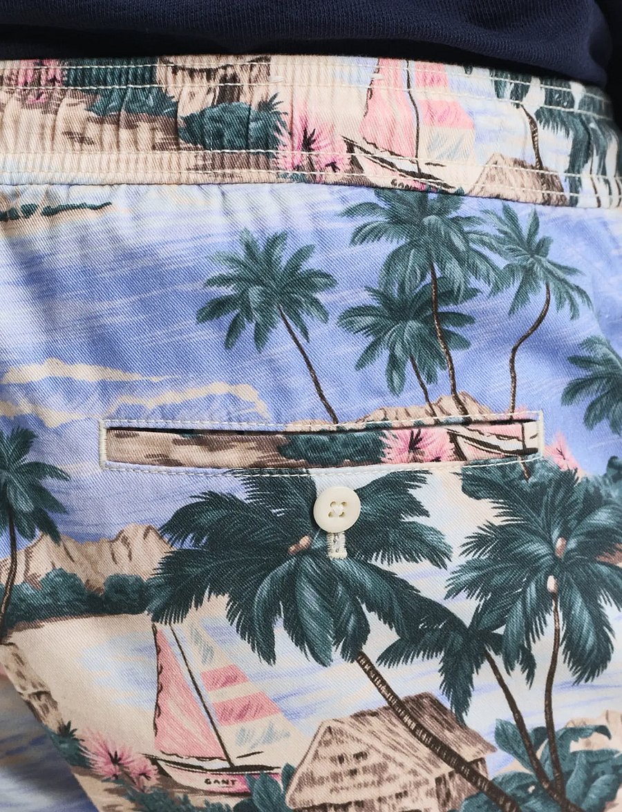 Gant - REG PRINTED DS SHORTS - casual shorts - perfect blue - 3