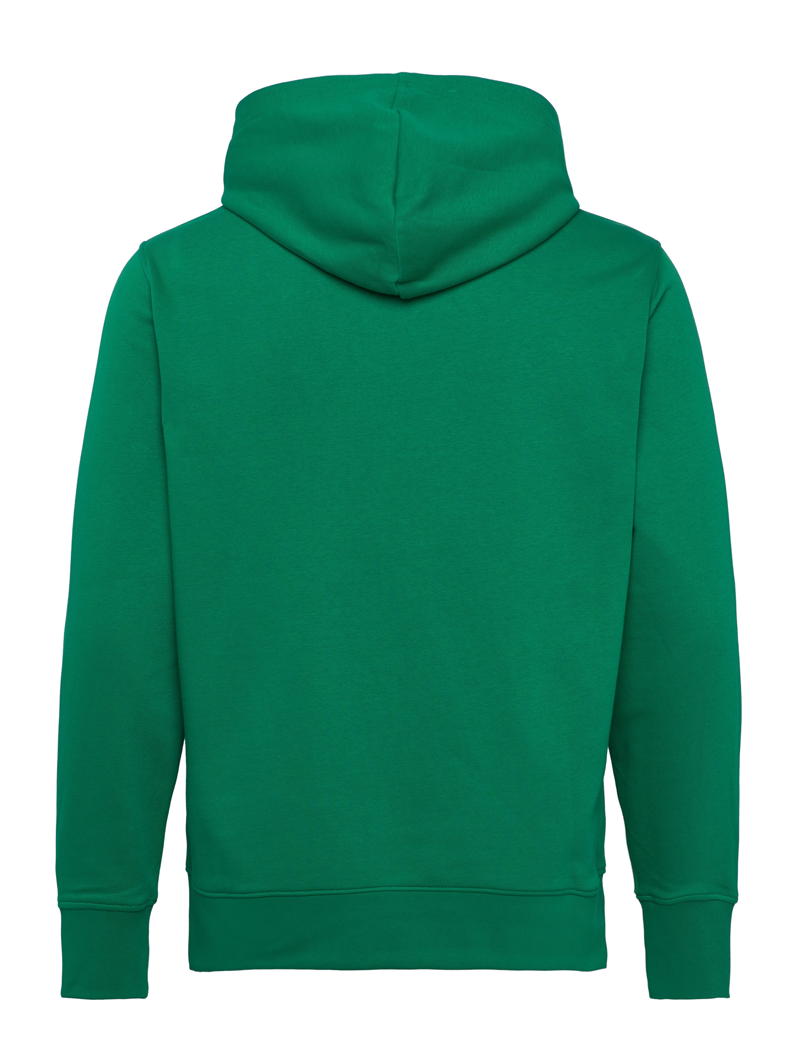 Gant - GRAPHIC SWEAT HOODIE - hupparit - deep green - 1