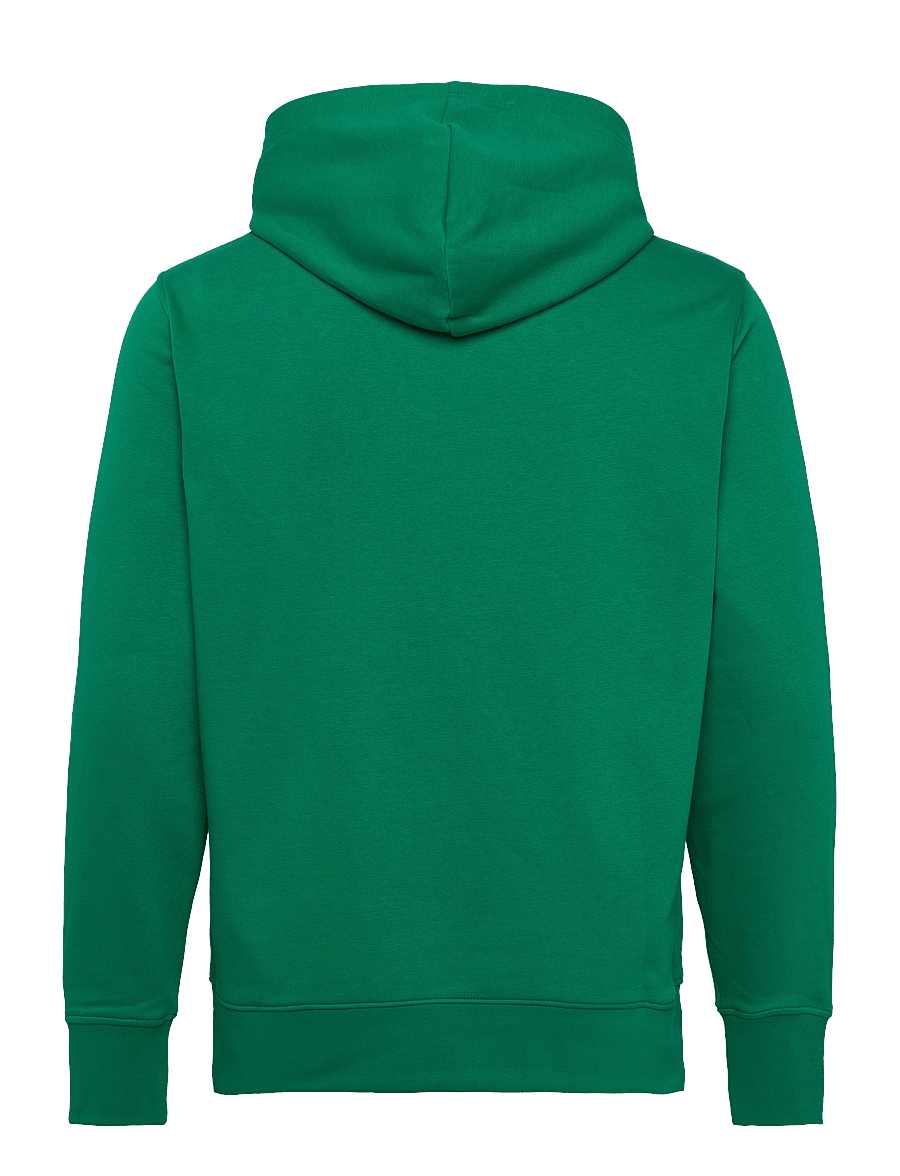 Gant - GRAPHIC SWEAT HOODIE - hupparit - deep green - 1