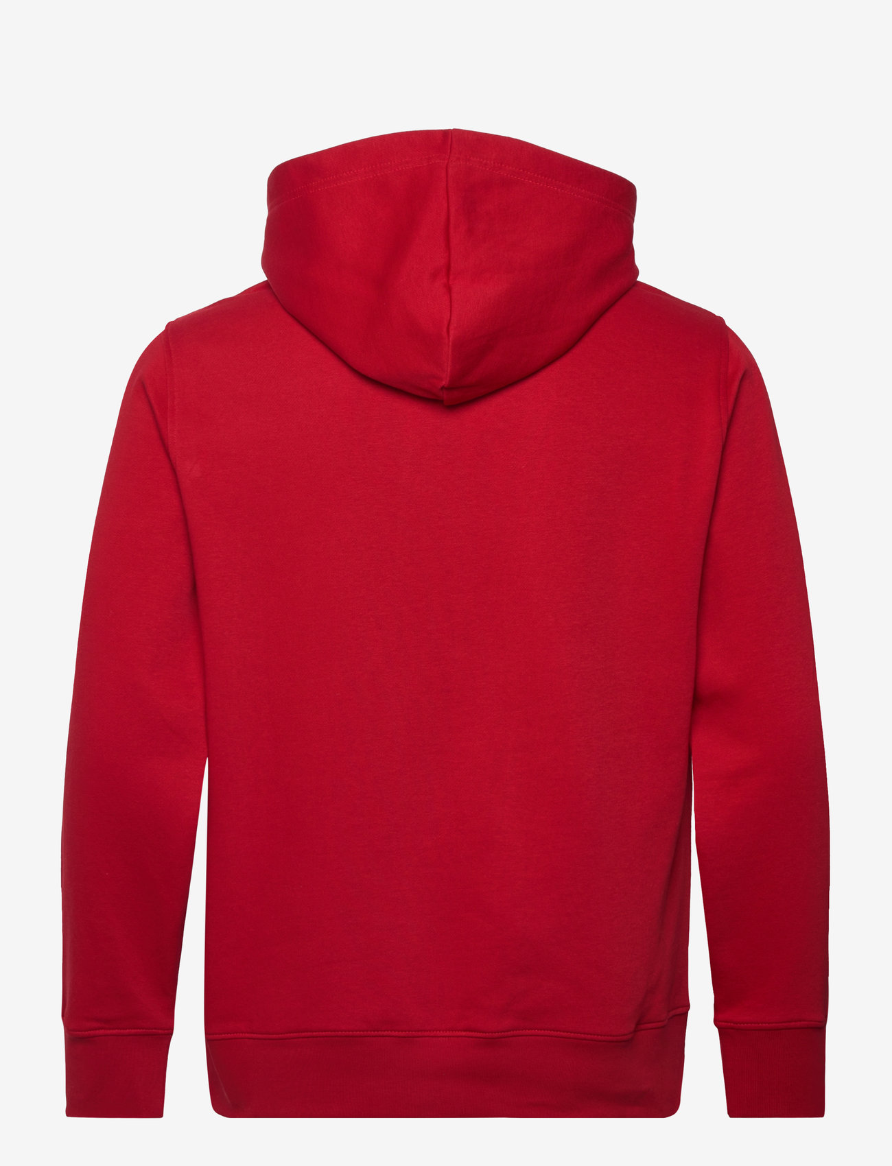 GANT - GRAPHIC SWEAT HOODIE - kapuutsiga dressipluusid - ruby red - 1