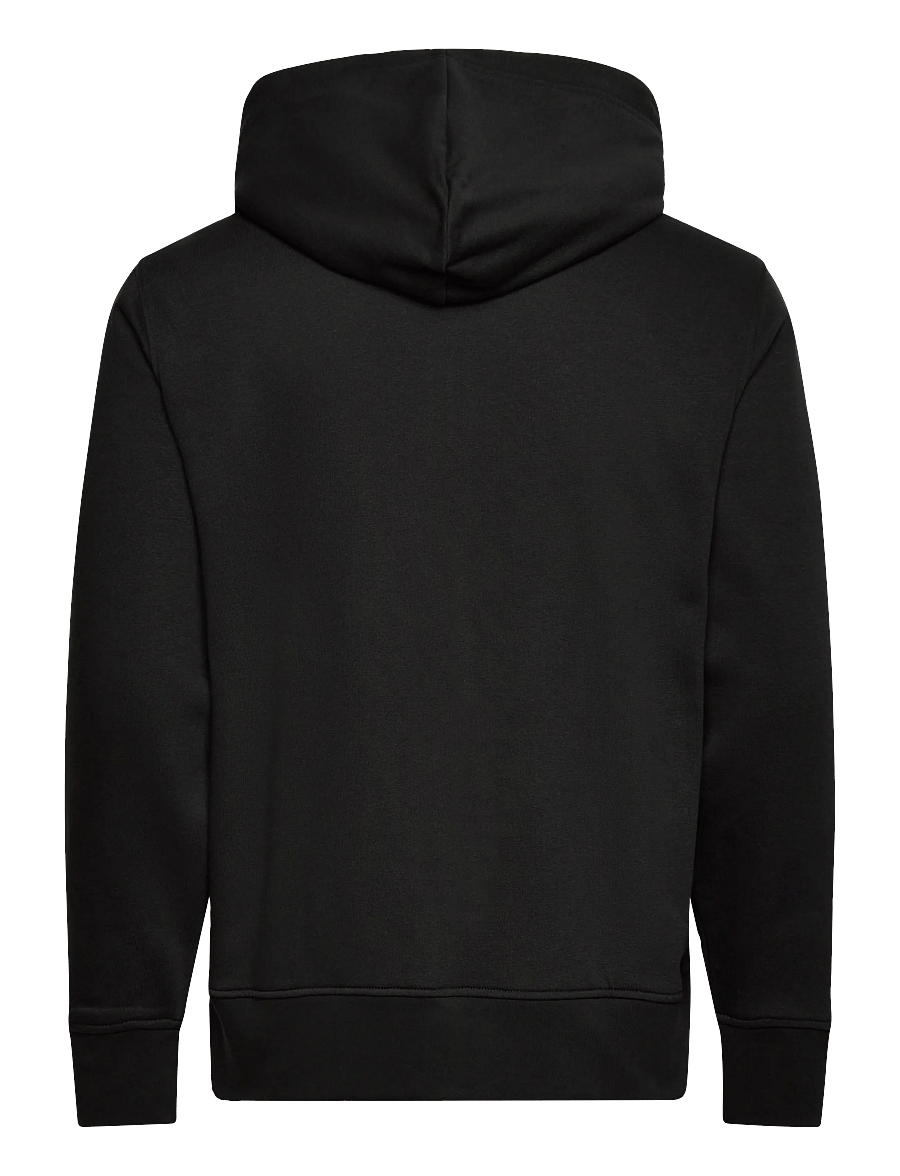 Gant - GRAPHIC FULL ZIP HOODIE - sweats à capuche - black - 1