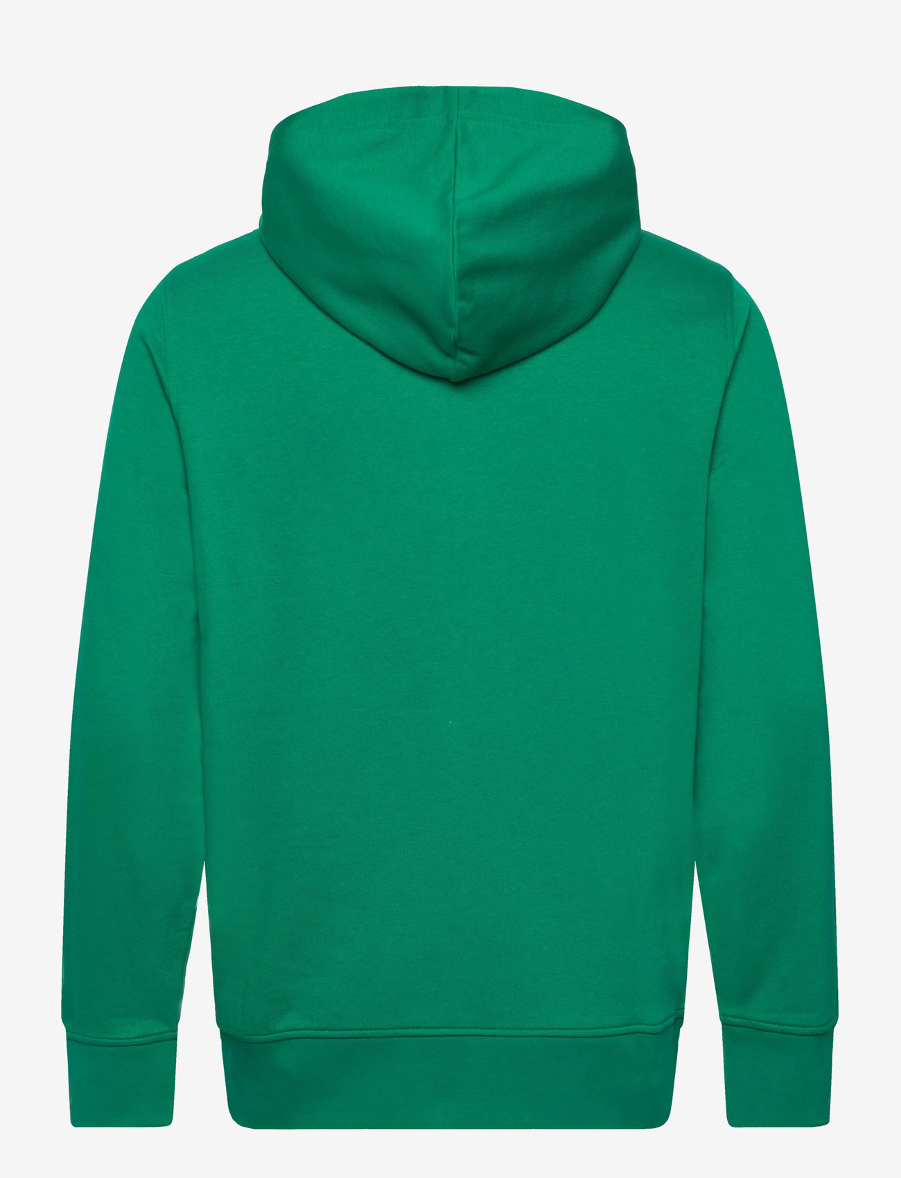 GANT - GRAPHIC FULL ZIP HOODIE - hættetrøjer - deep green - 1