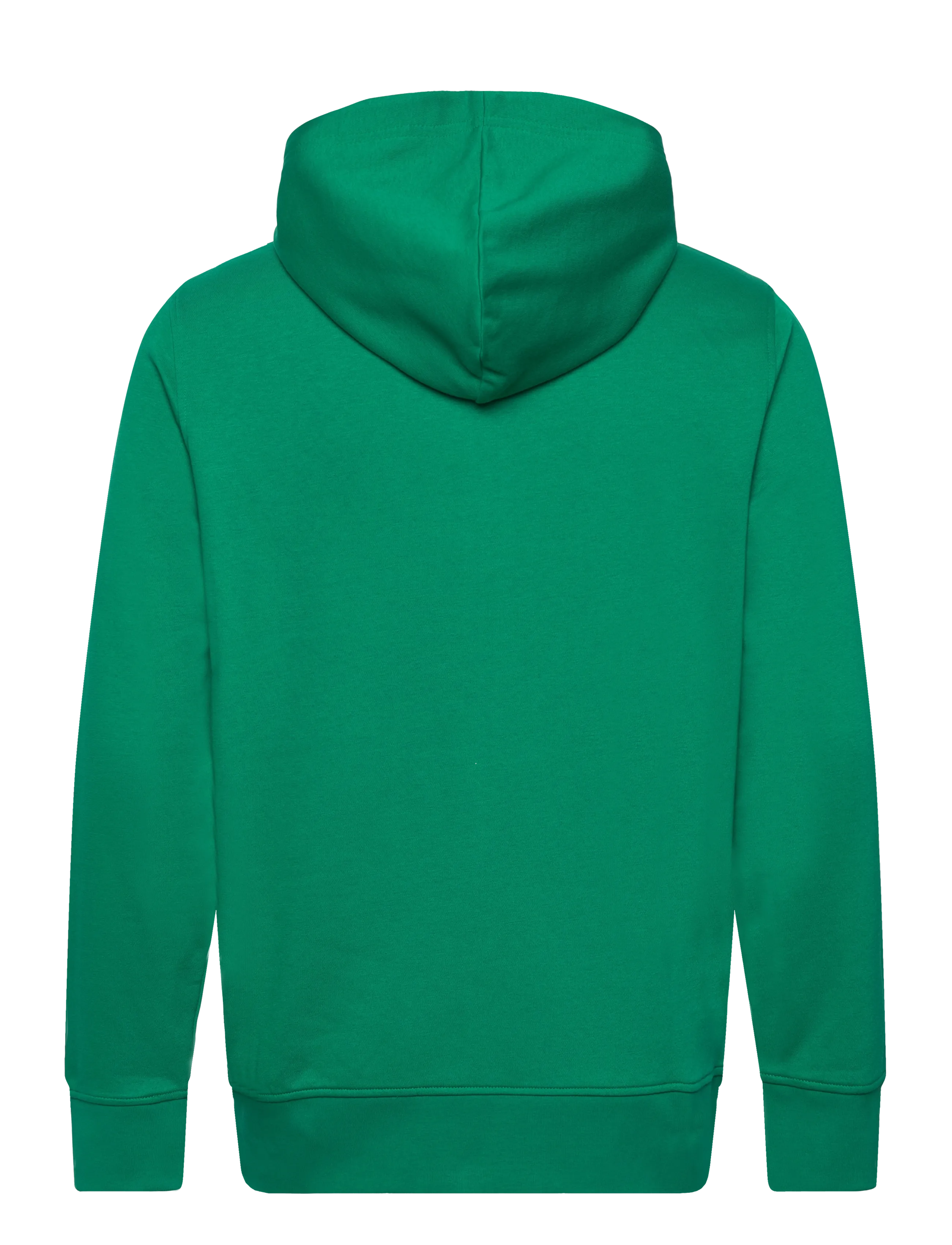Gant - GRAPHIC FULL ZIP HOODIE - kapuutsiga dressipluusid - deep green - 1