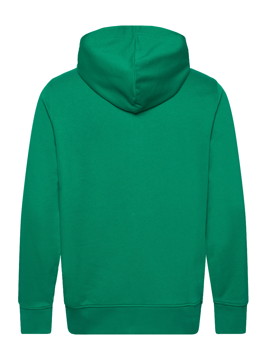 Gant - GRAPHIC FULL ZIP HOODIE - kapuutsiga dressipluusid - deep green - 1