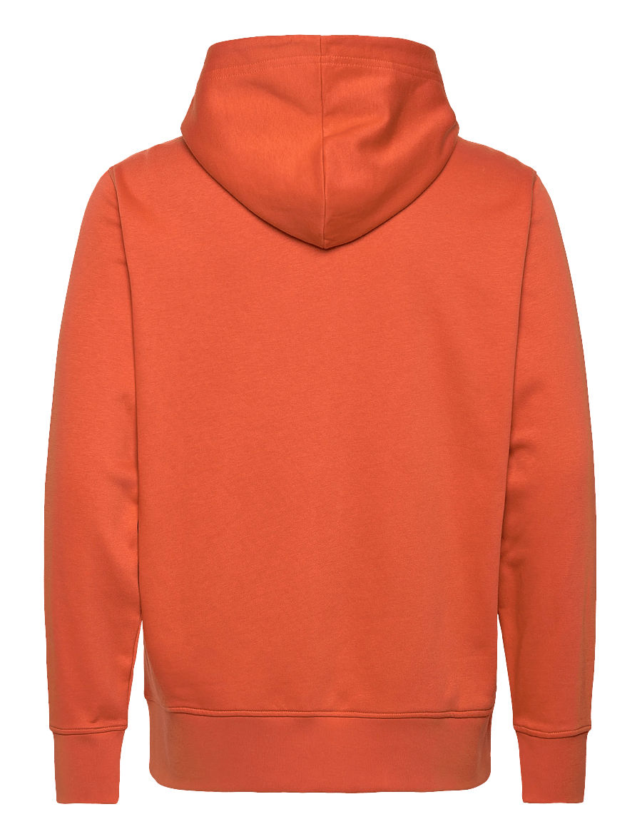 Gant - GRAPHIC FULL ZIP HOODIE - kapuzenpullover - deep orange - 1